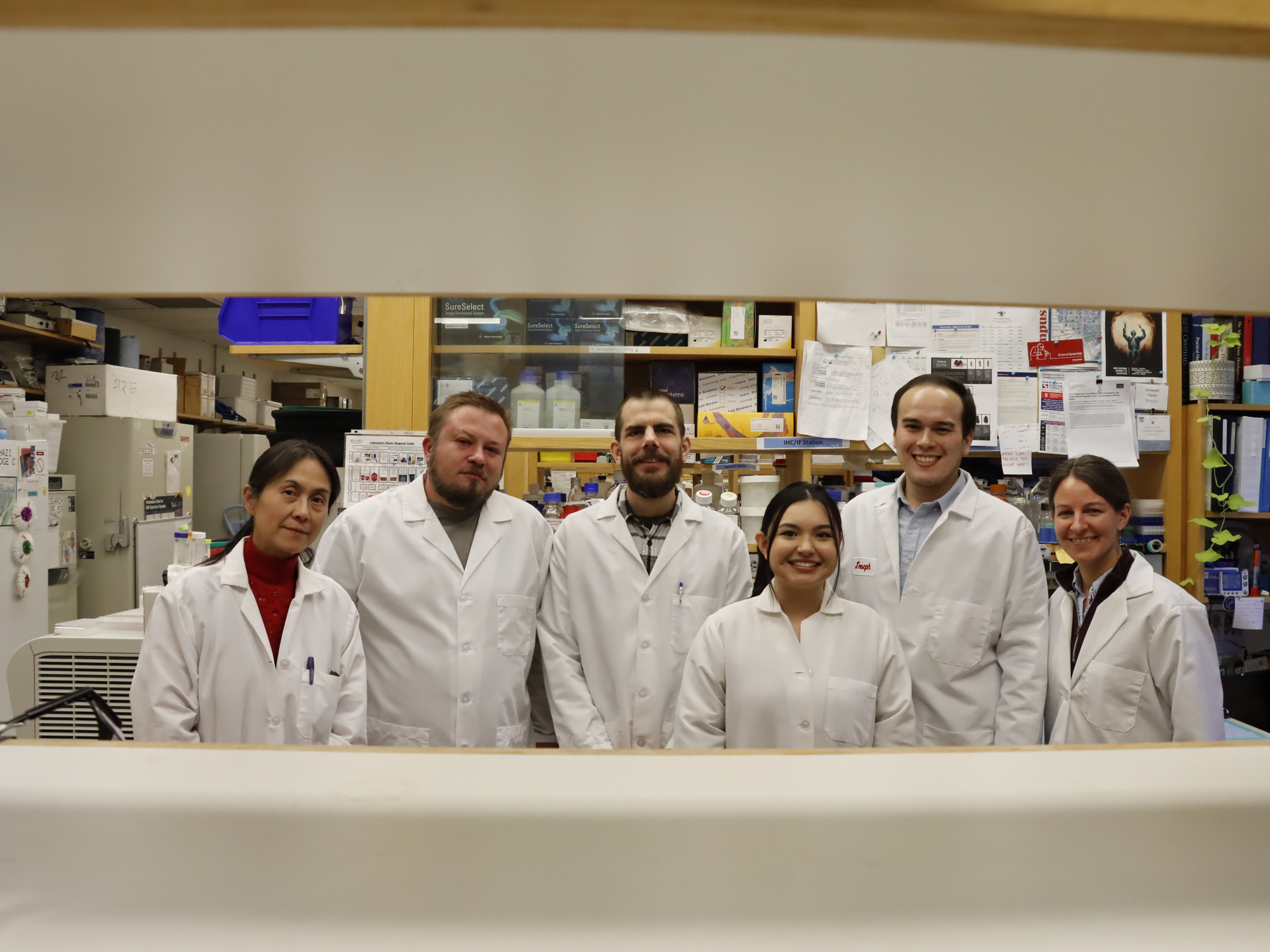 Uyhazi Lab
