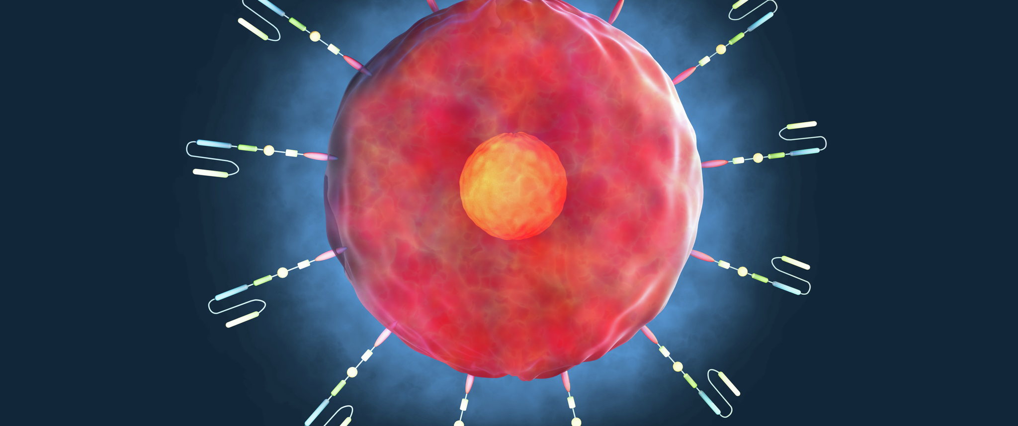 A digital illustration of CAR T cells