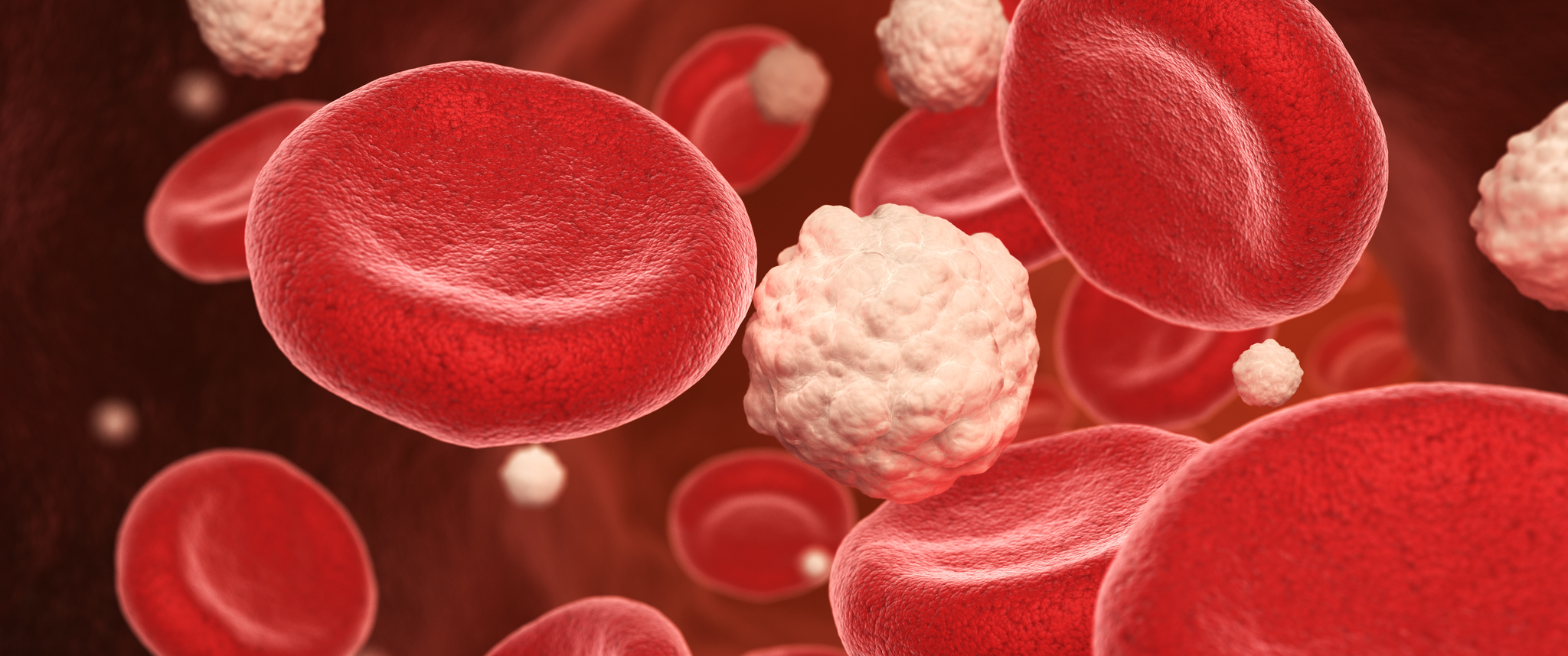 A 3D illustration of red blood cells and glucose in the vein