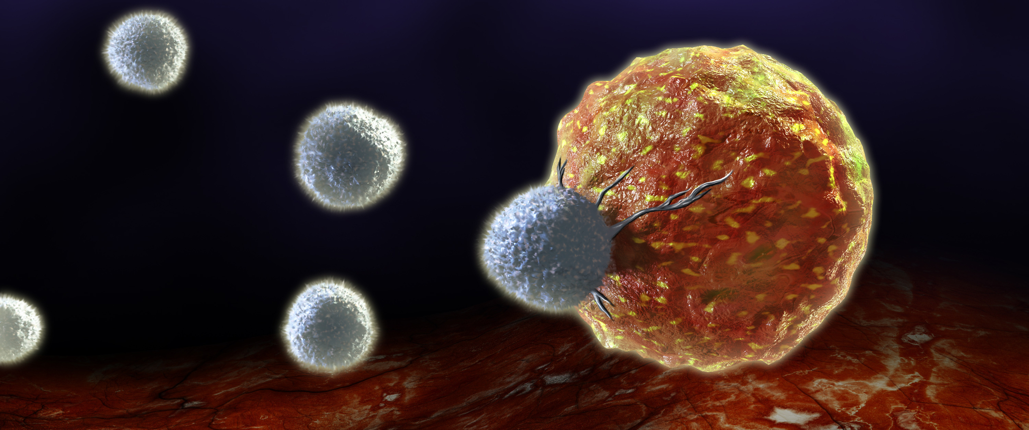 An illustration of T cells attacking a cancer cell