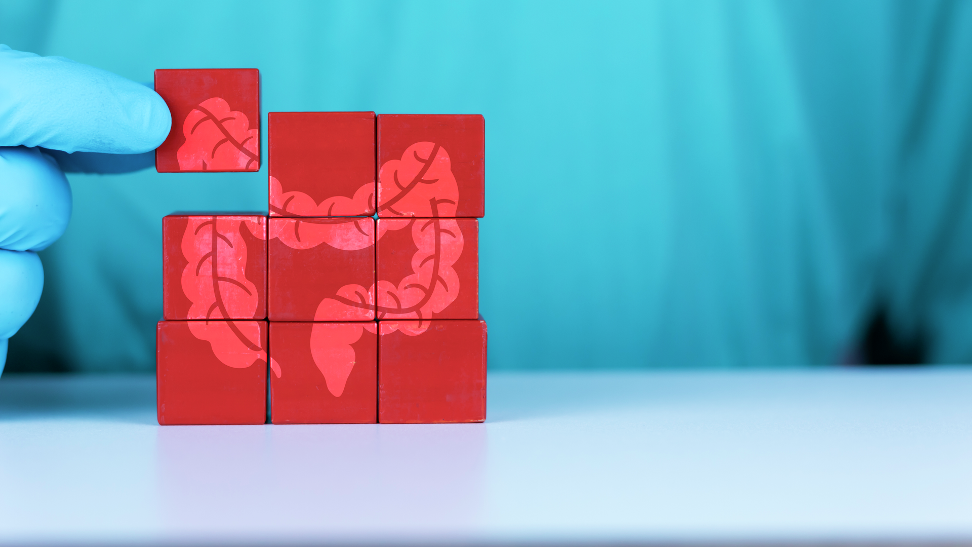 Doctor putting together red puzzle with picture of colon