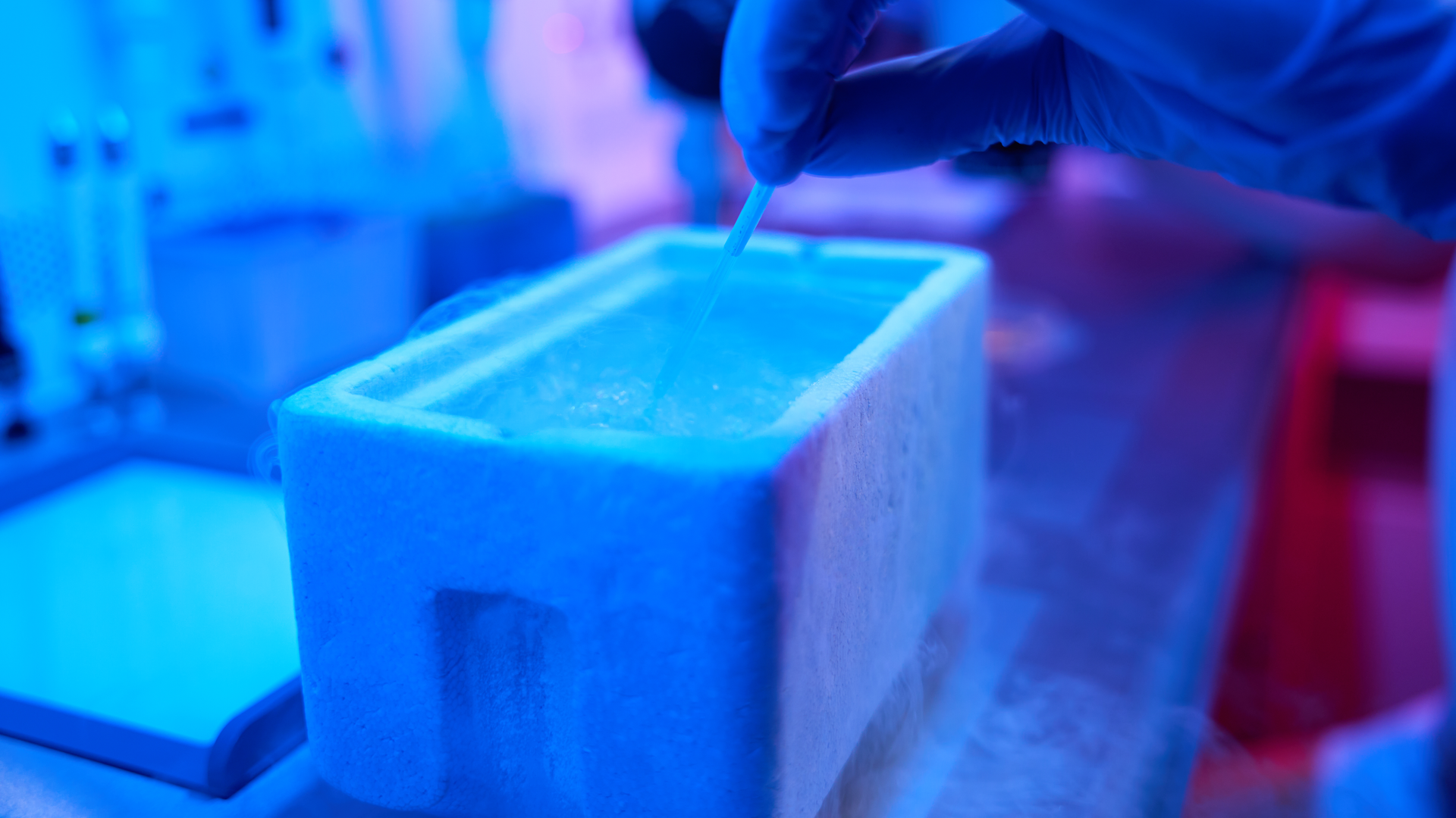 Lab worker immerses a straw with an embryo in a tank of liquid nitrogen