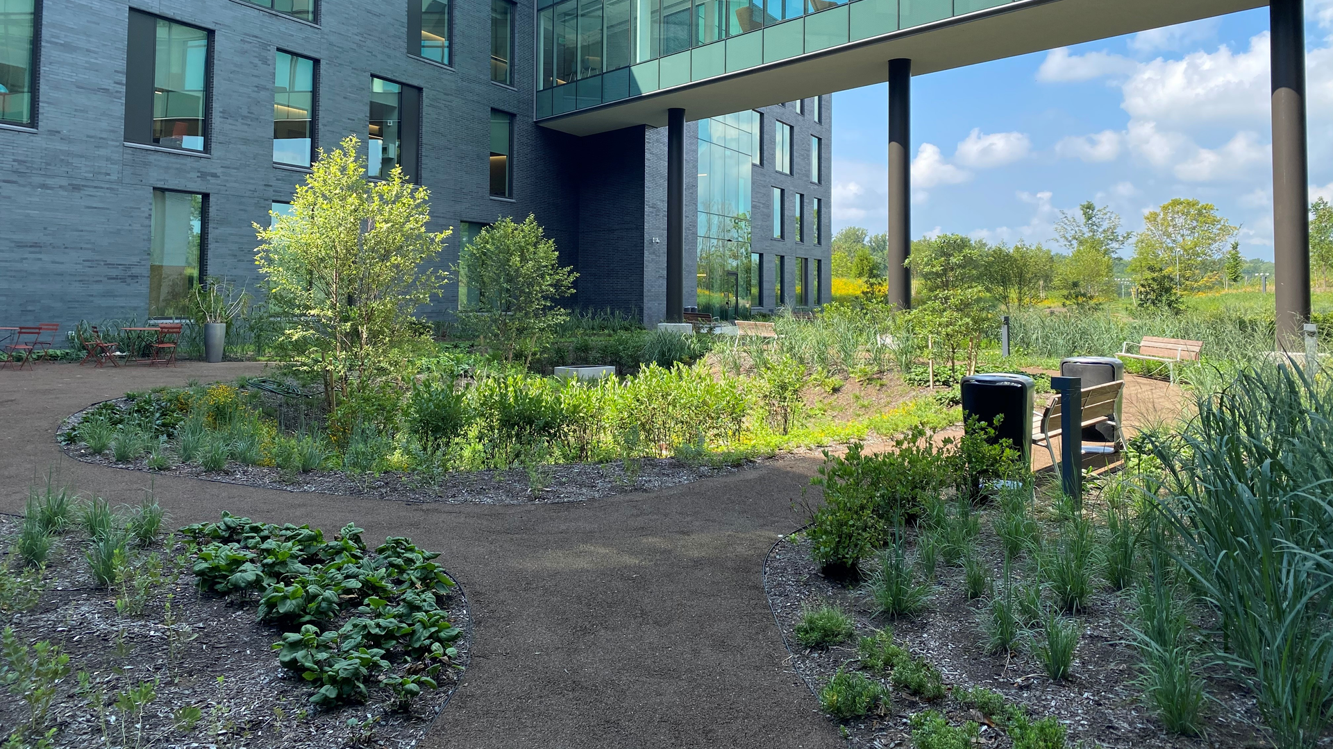 Penn Medicine Radnor's meadow and inner courtyard, featuring an abundance of native plants