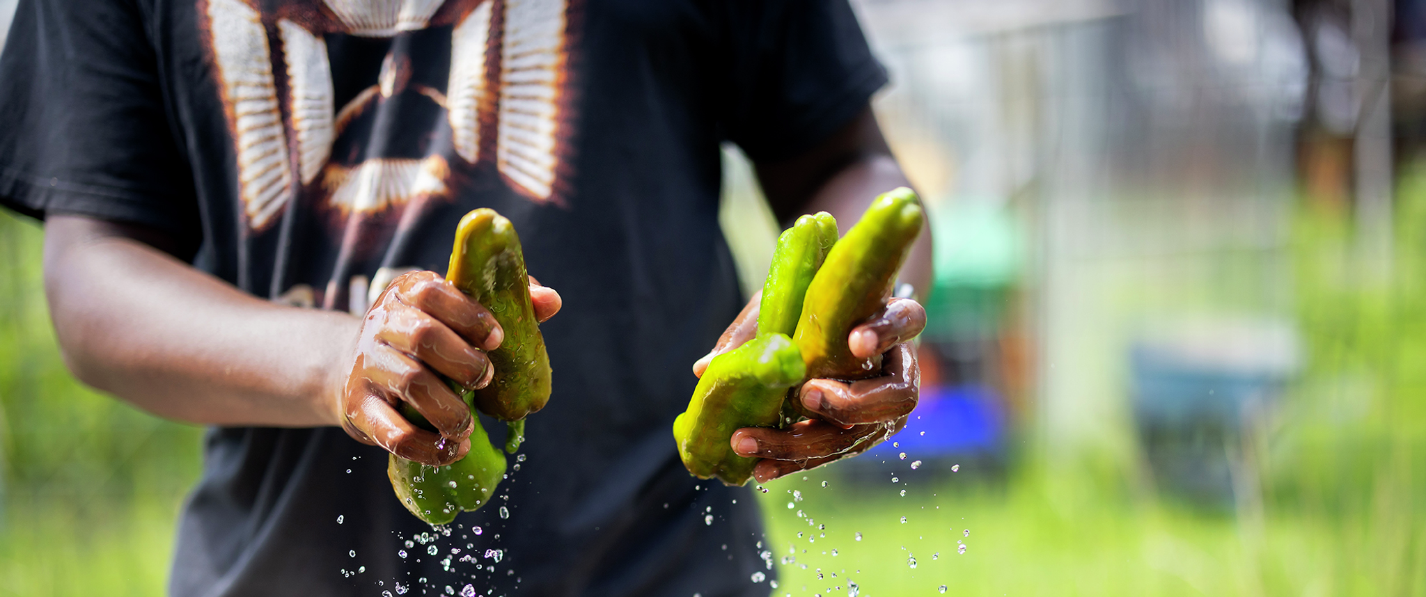 A person holds fresh bell peppers in their hands while washing them in an outdoor sink