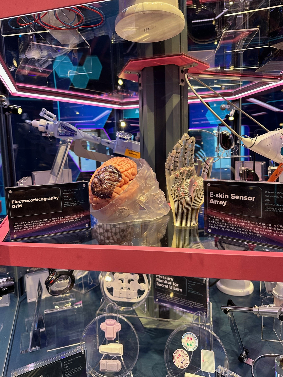 A multi-tiered museum display of neuro-technology including an e-skin sensor array on a model hand, and a separate model brain