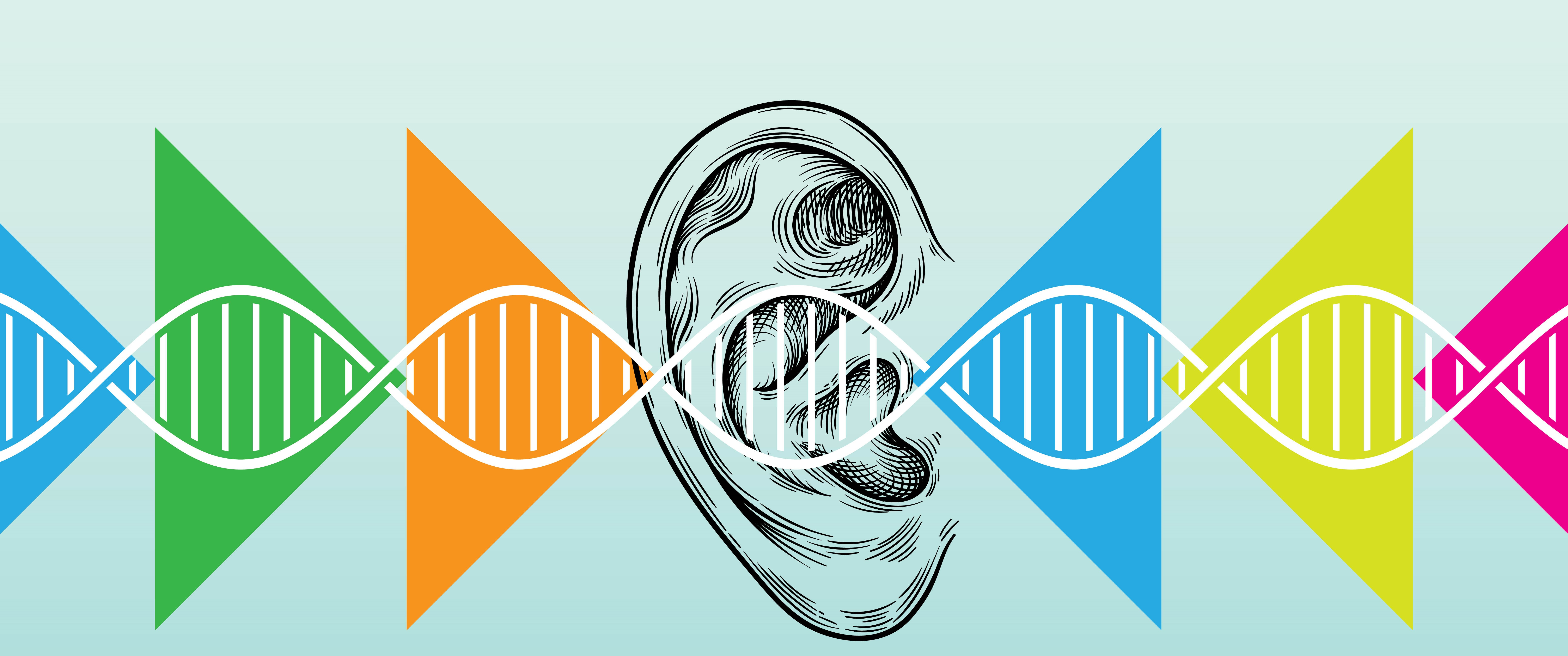 Illustration of DNA overlaid across a human ear