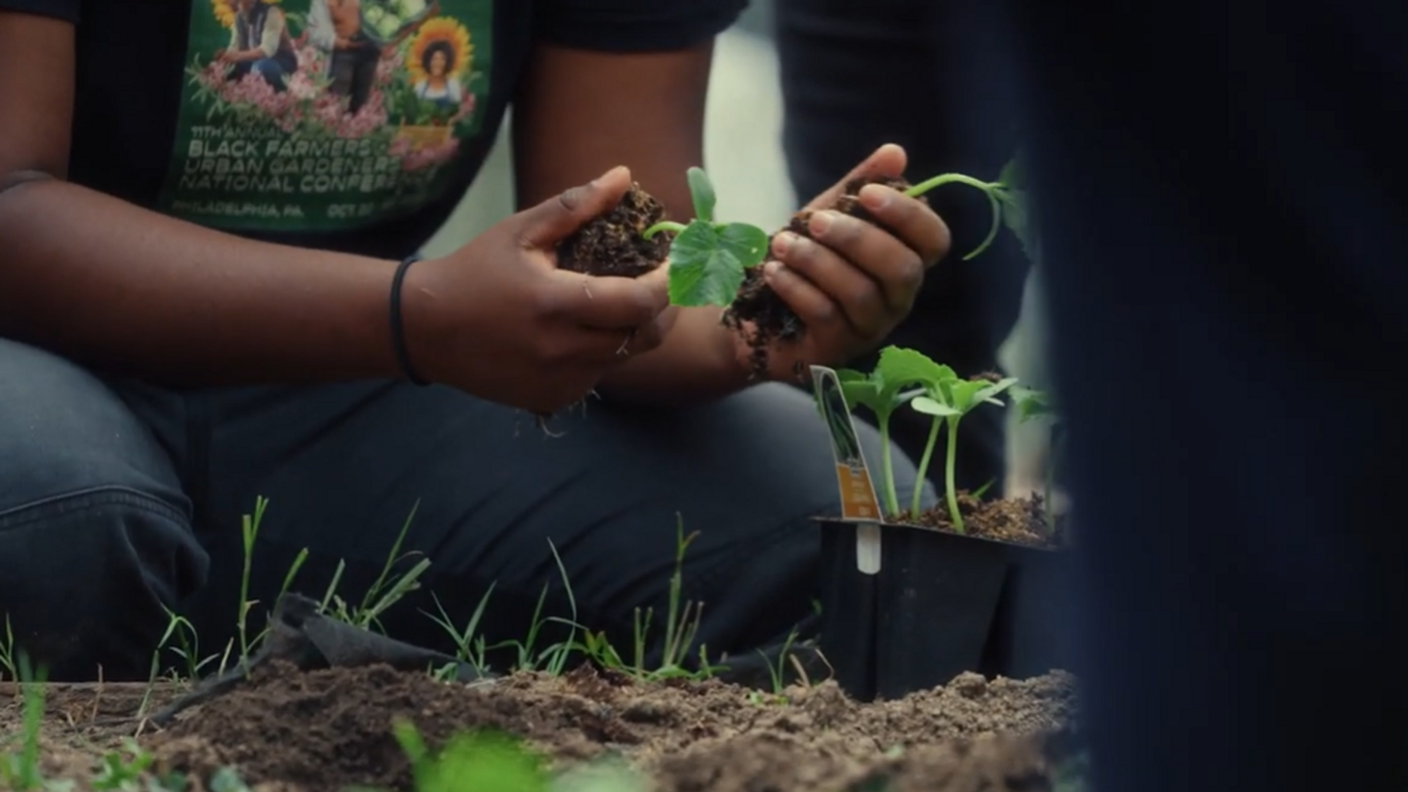Hands digging into the dirt and planting a garden