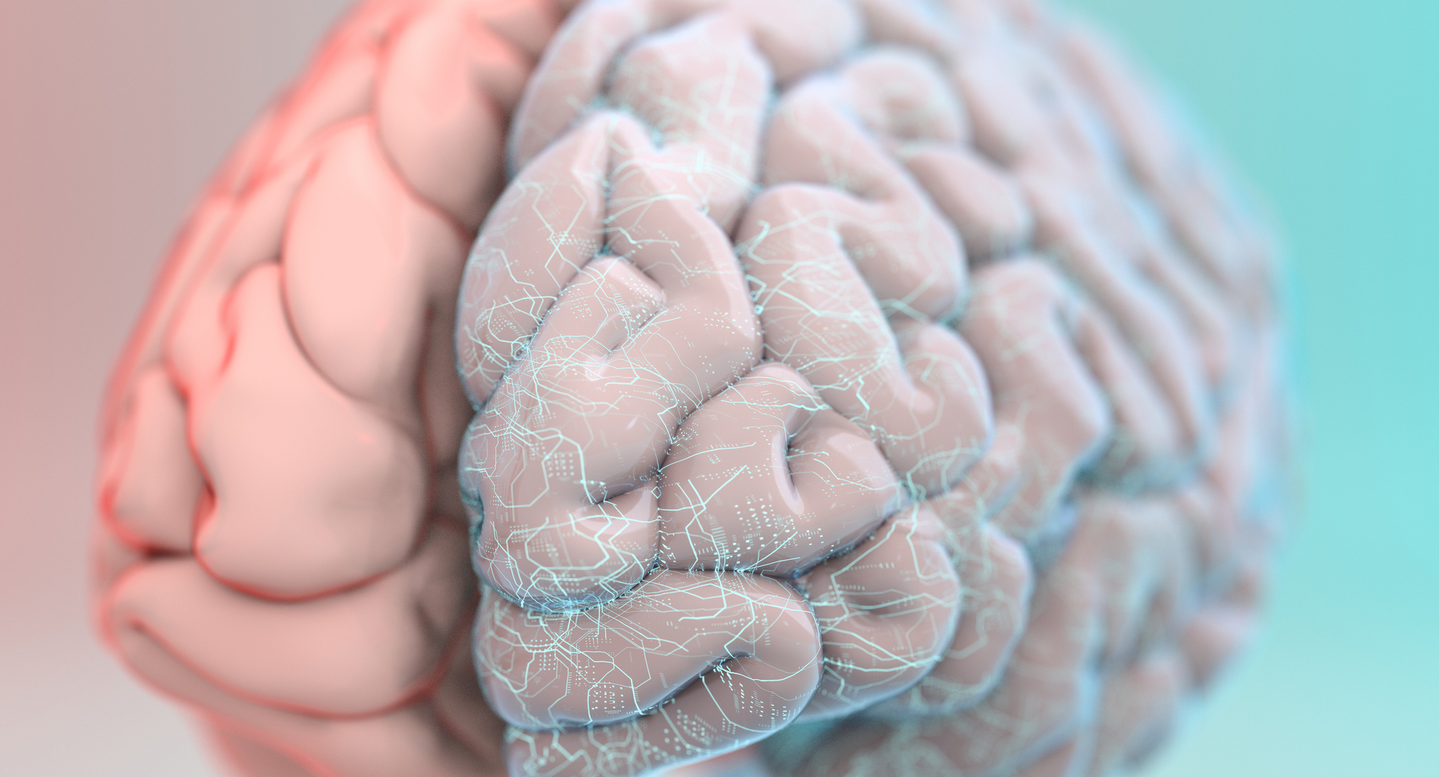 Brain with circuitry drawn in