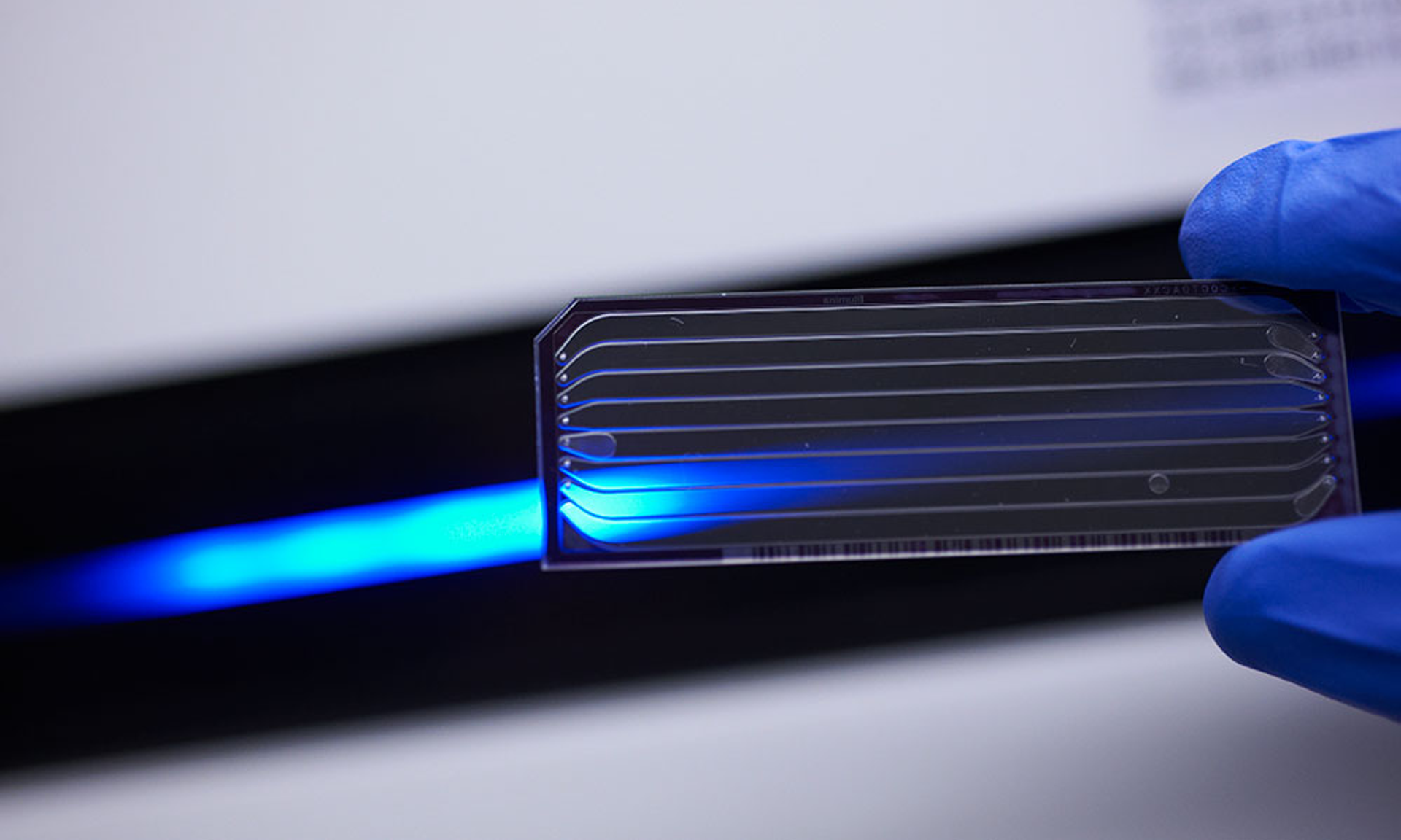 Microscope slide