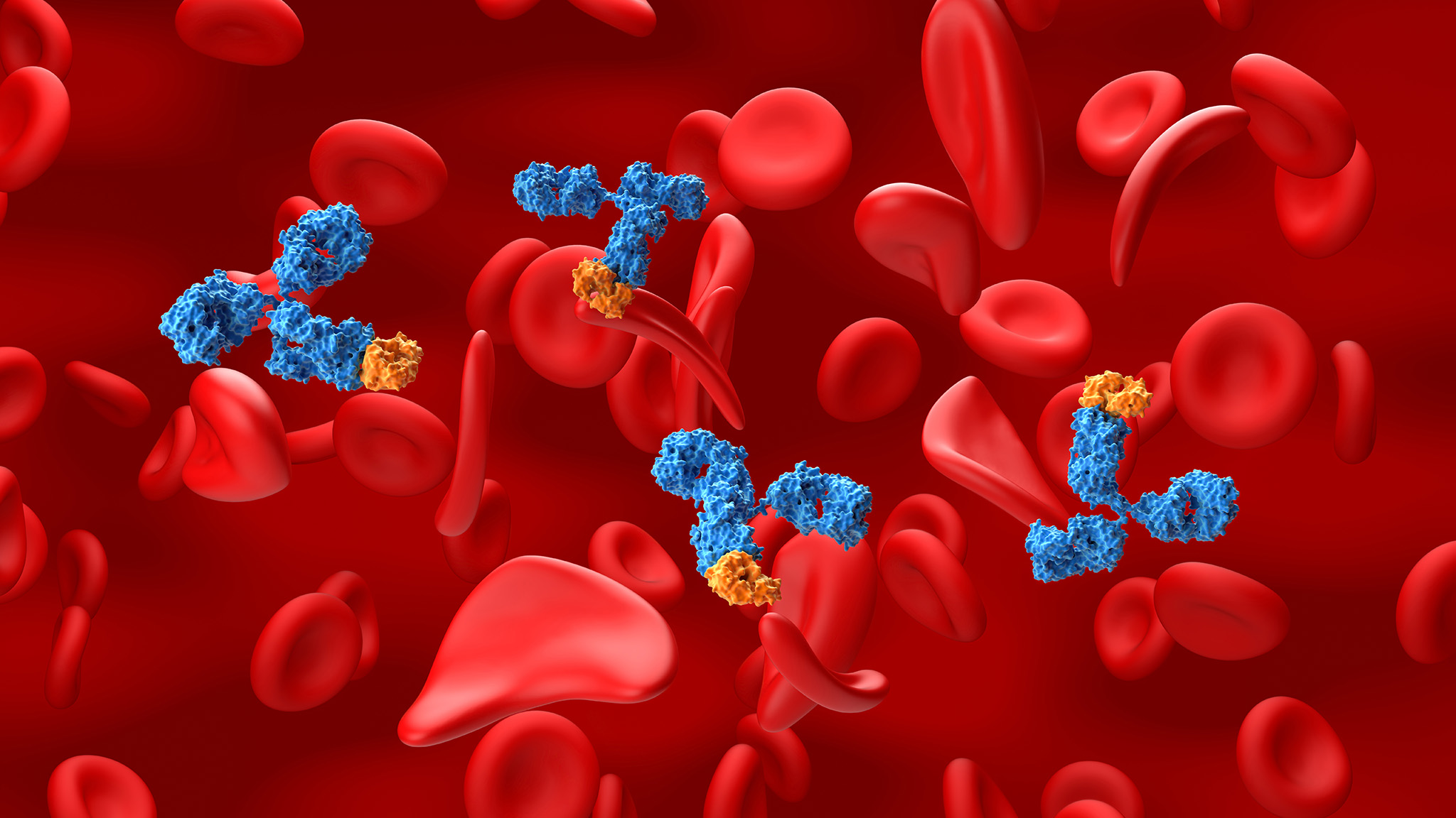 An artist's rendering of monoclonal therapy in sickle cell disease.