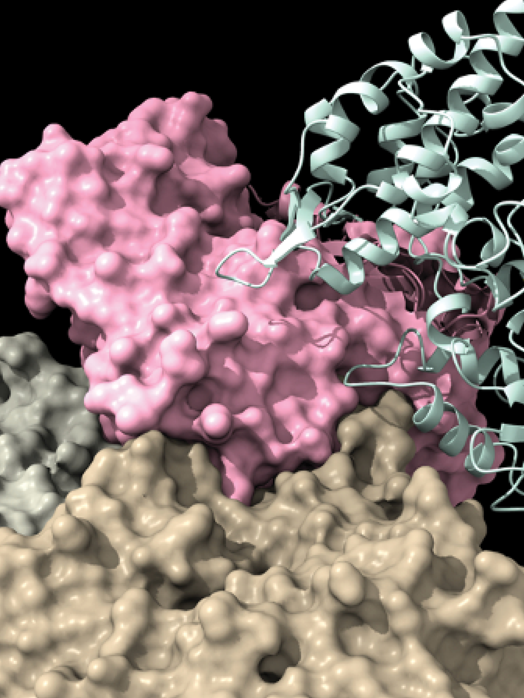 A screenshot of a microscope-enhanced look at a protein, resembling several strands of pink, gray, green, and white tangled together 