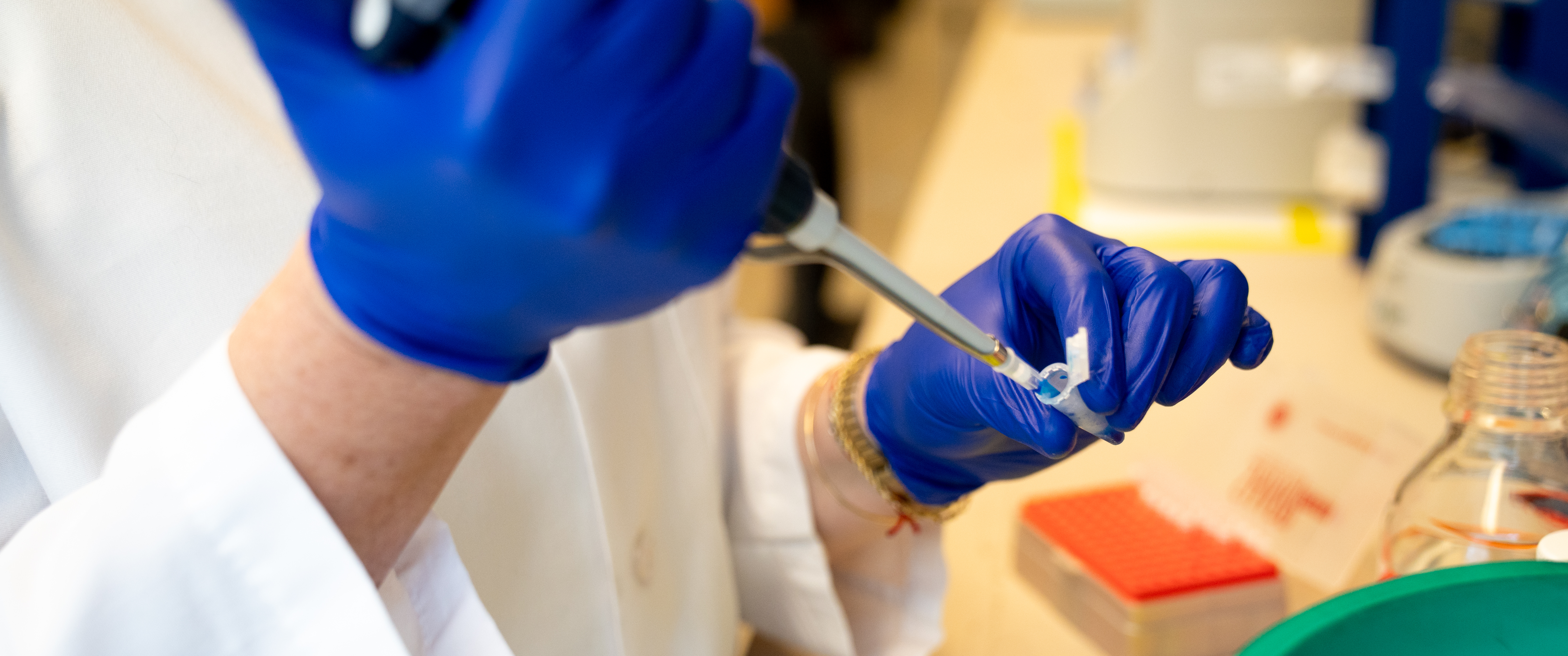 Gloved hands hold a pipette and a small vial of liquid