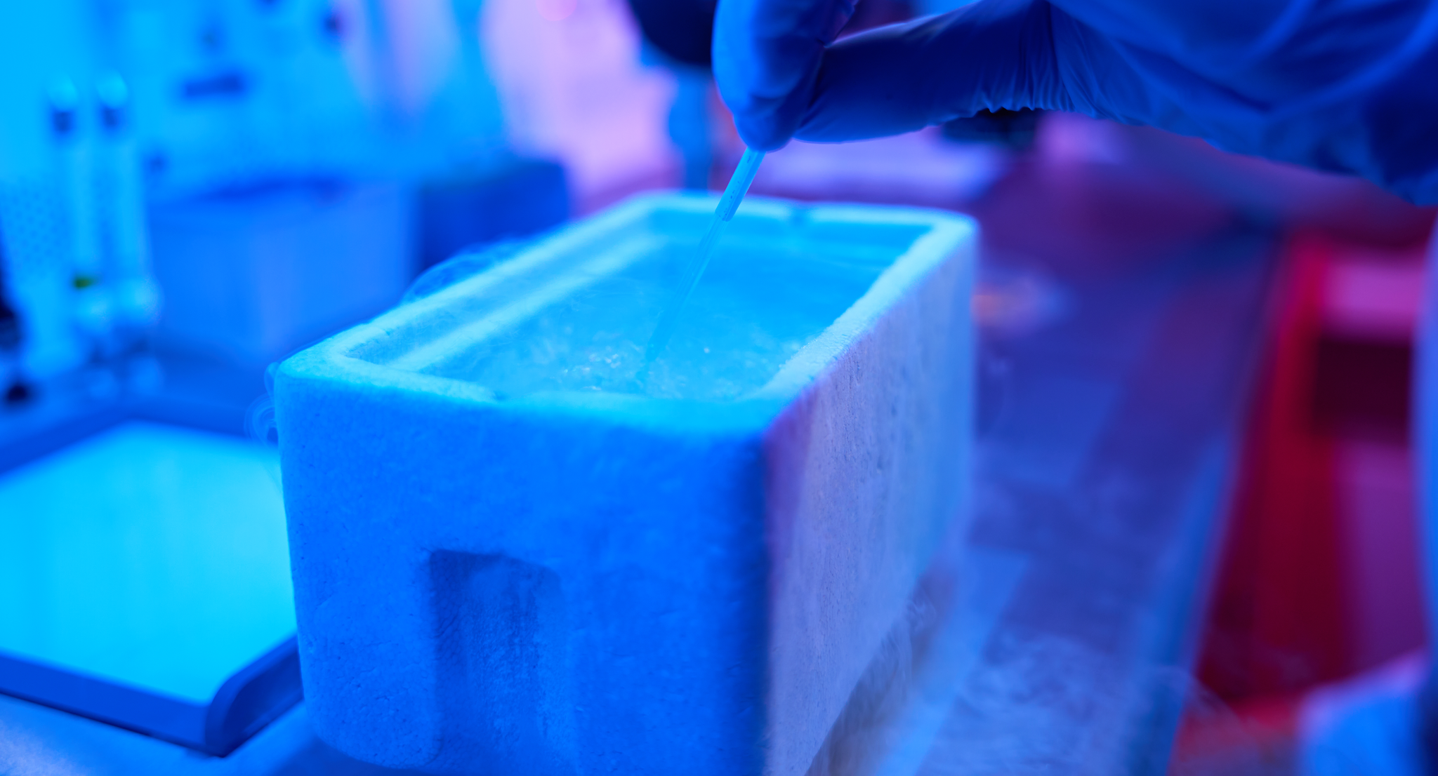 Lab worker immerses a straw with an embryo in a tank of liquid nitrogen