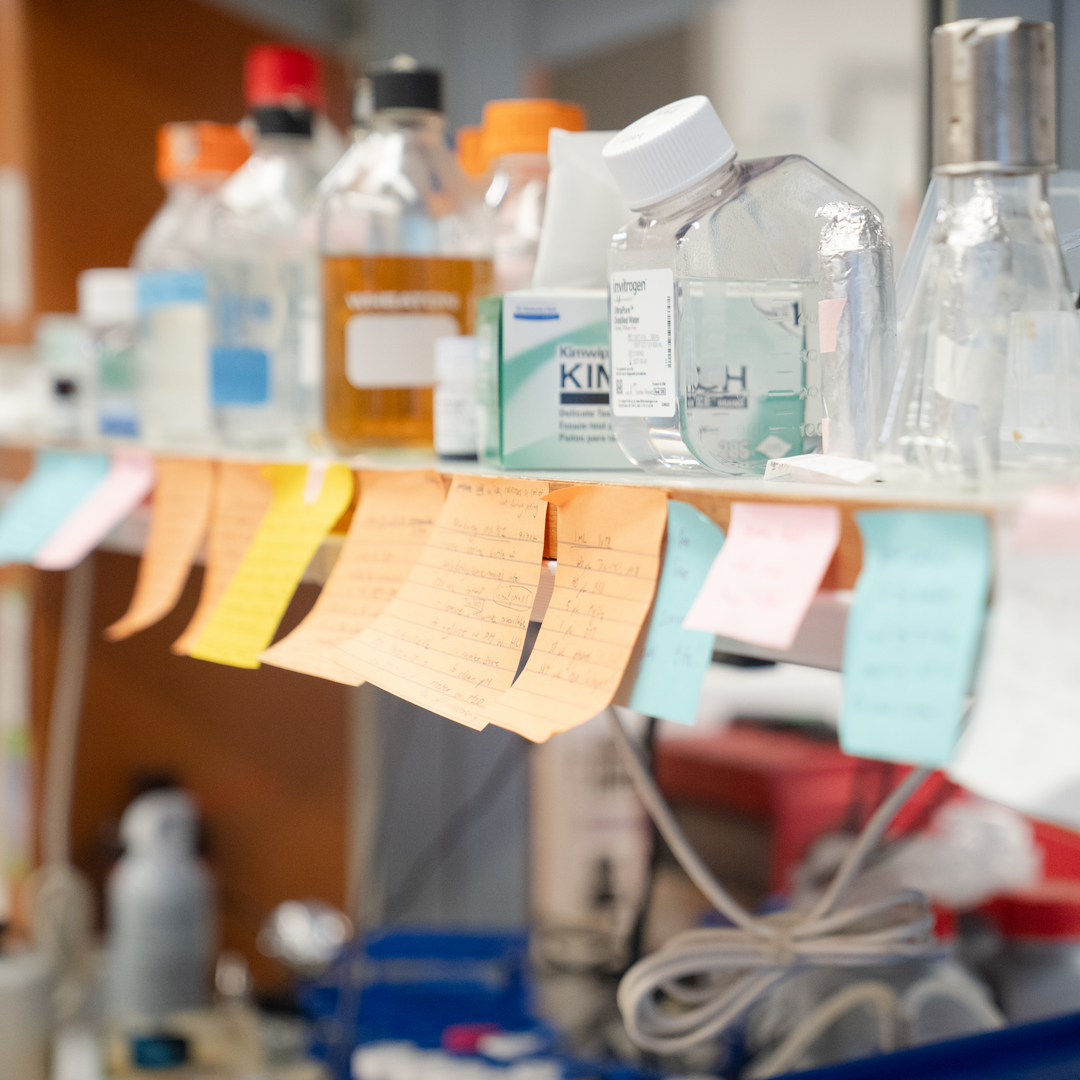 Close-up of a lab shelf containing a variety of glassware and lined with many post-it notes covered in handwriting