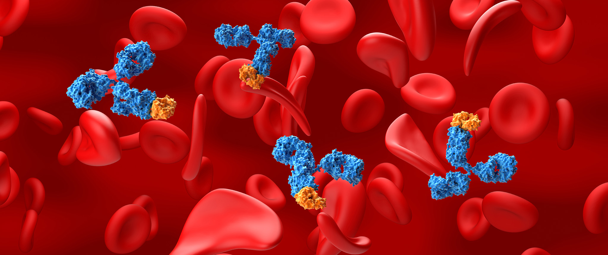 An artist's rendering of monoclonal therapy in sickle cell disease.