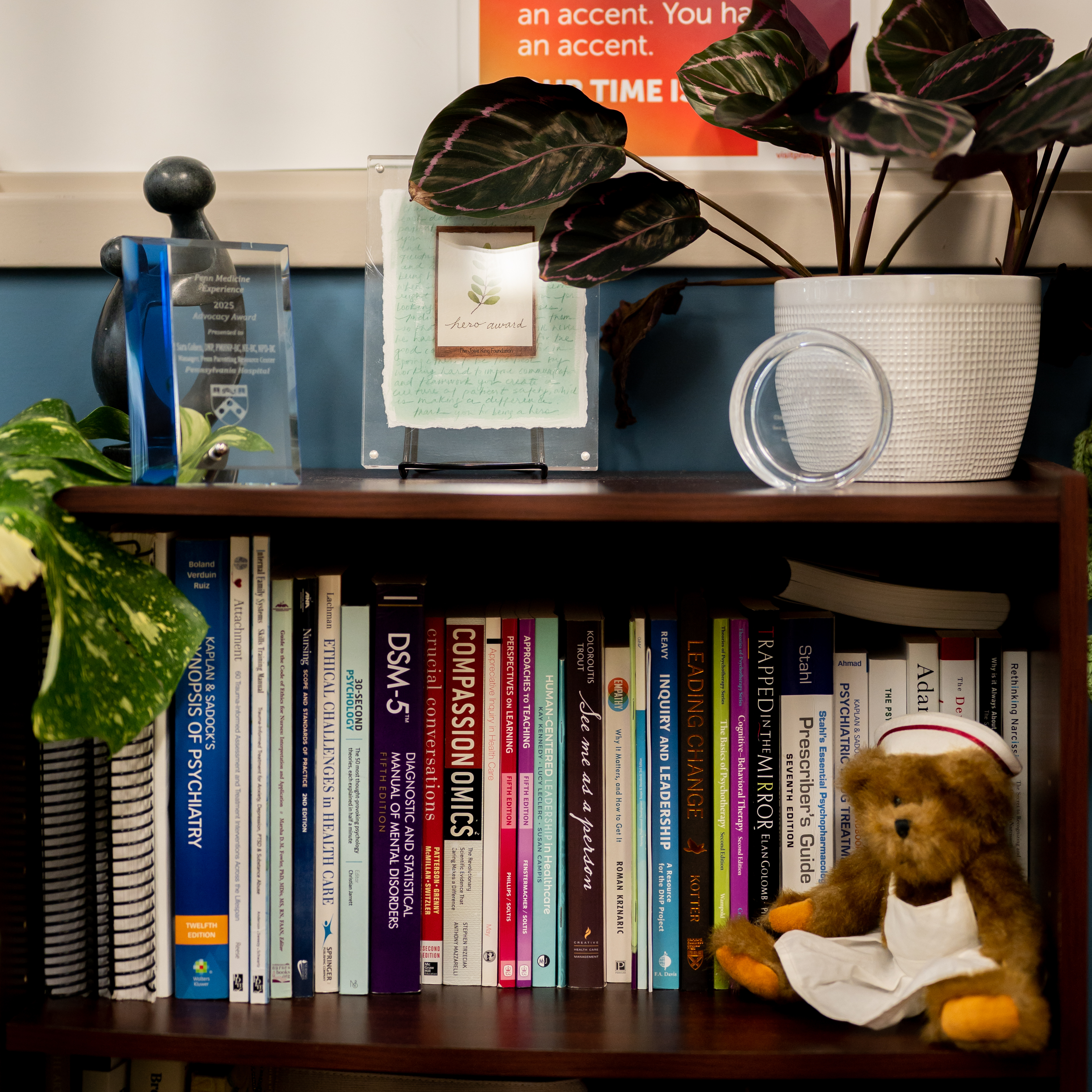 A bookshelf with books about mental health and psychiatry, along with a teddy bear dressed as a nurse, and several nursing awards
