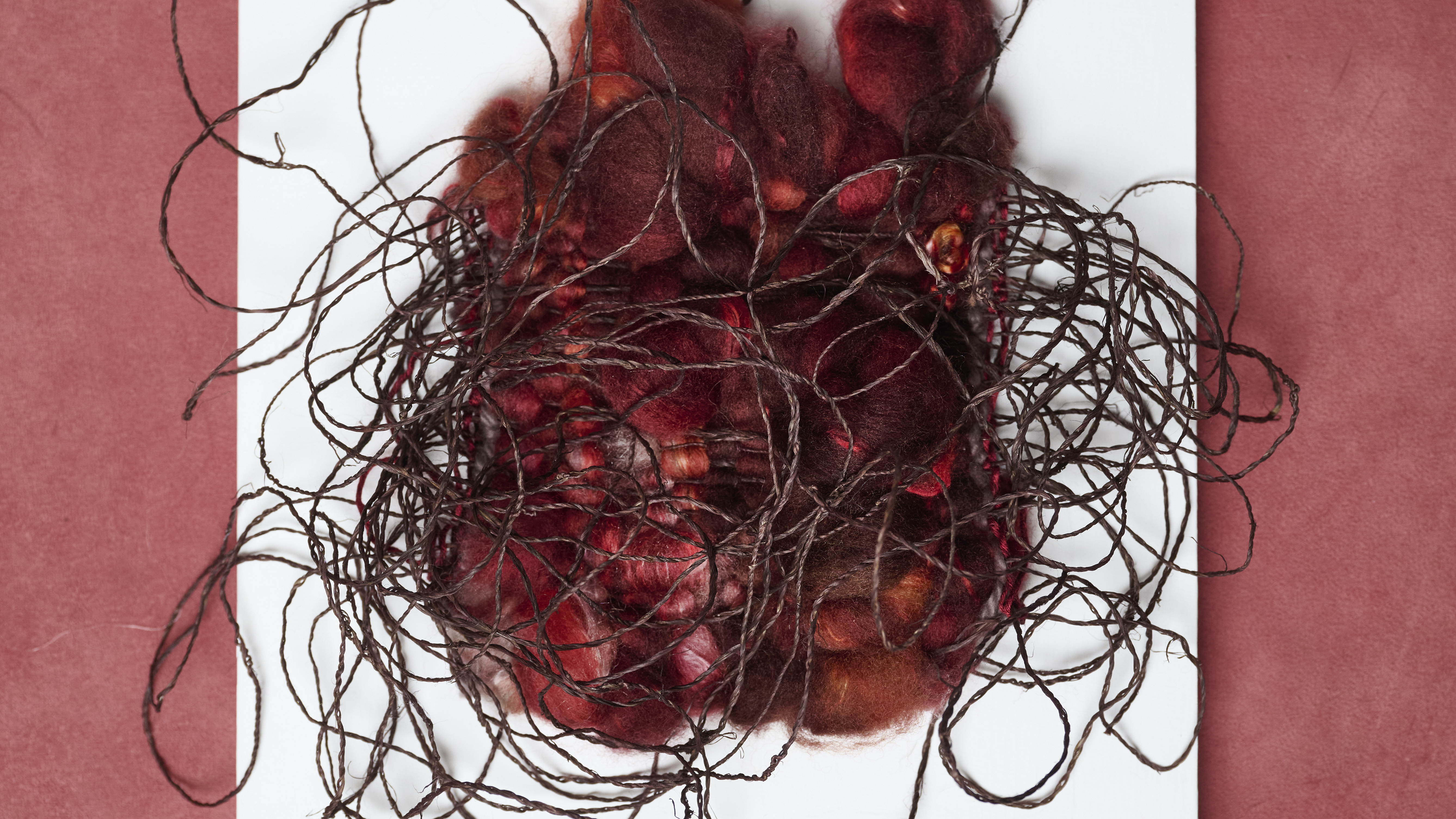 Woven yarn artwork that resembles a blood vessel on an X-ray