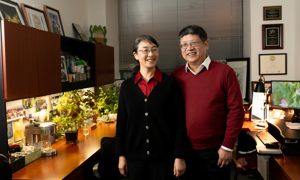  Guo-li Ming, MD, PhD, and Hongjun Song, PhD, stand smiling in a relaxed moment in an office