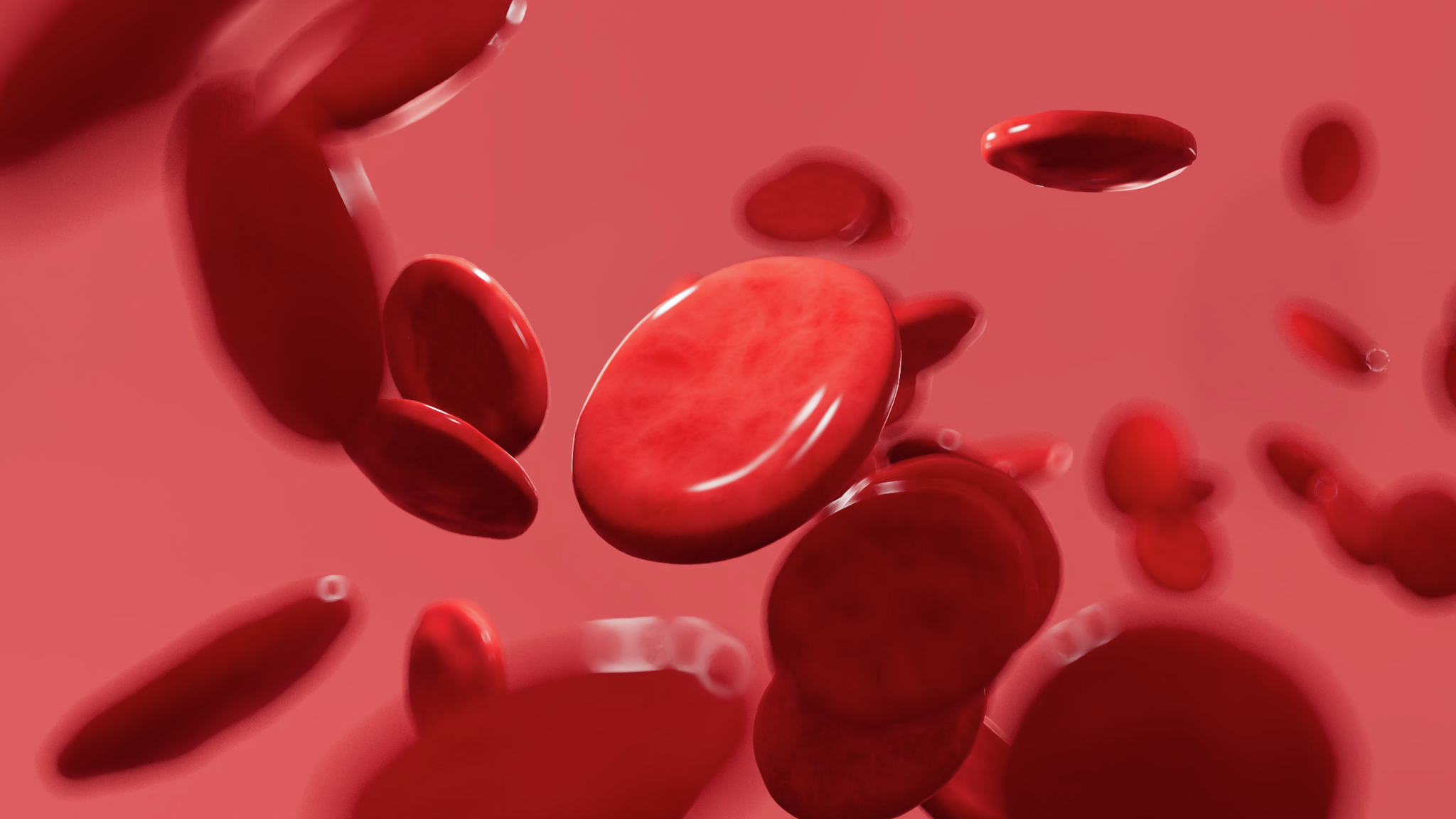 Red blood cells function as critical immune sensors | Penn Medicine