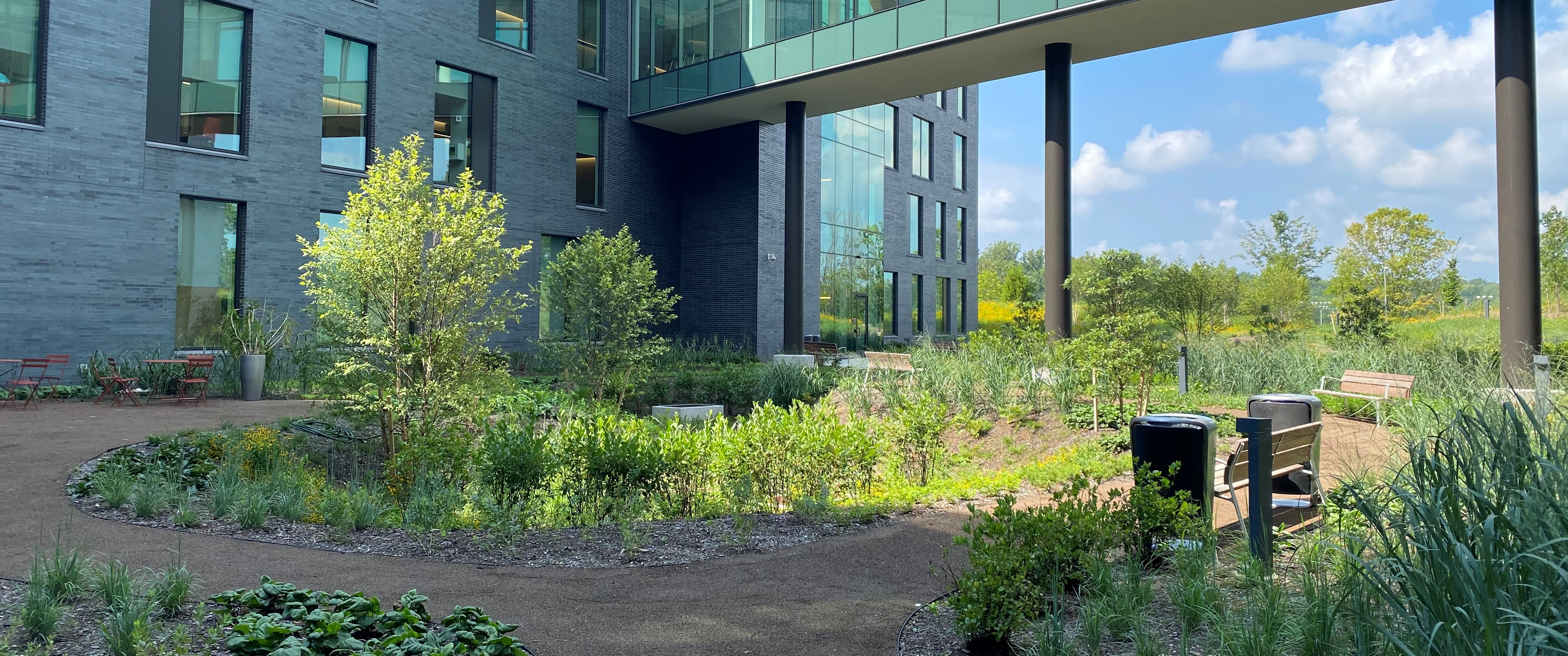 Penn Medicine Radnor's meadow and inner courtyard, featuring an abundance of native plants