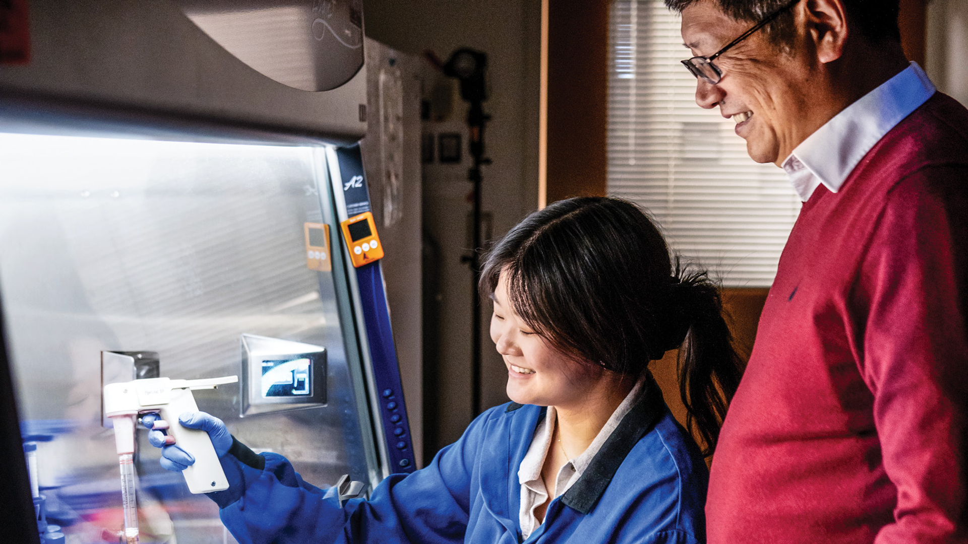 Hongjun Song observes as a research trainee in the lab does work with brain organoids