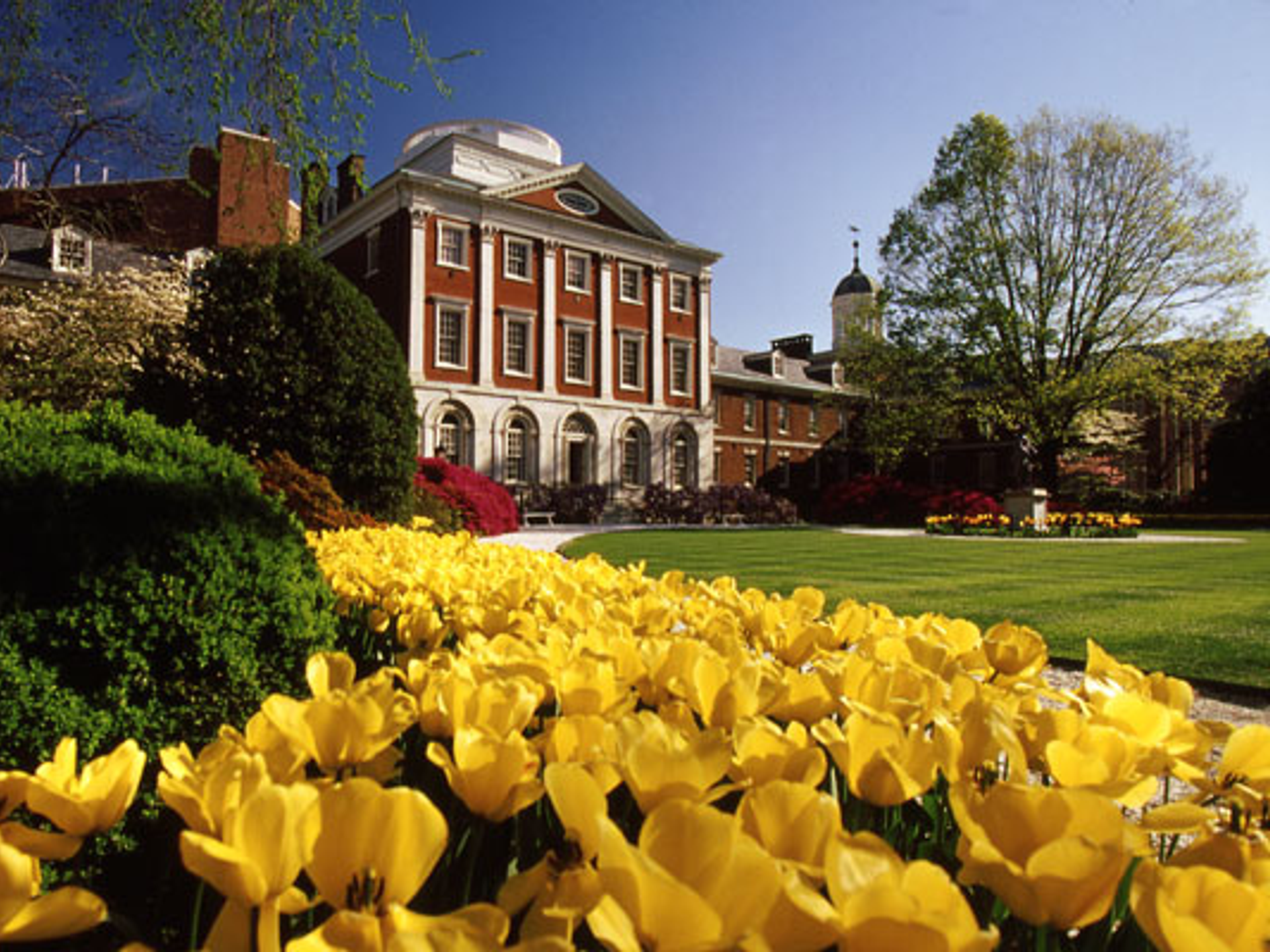 Exterior of Pennsylvania Hospital with yellow tulips in a garden