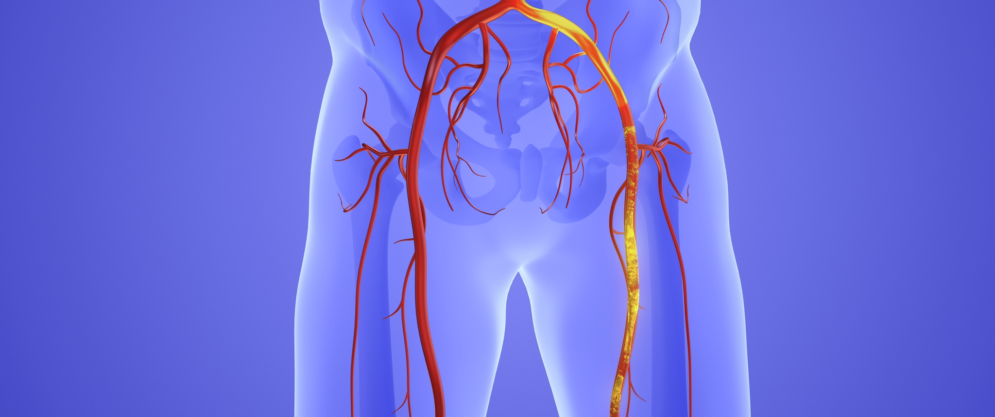 Blood flow in the lower body