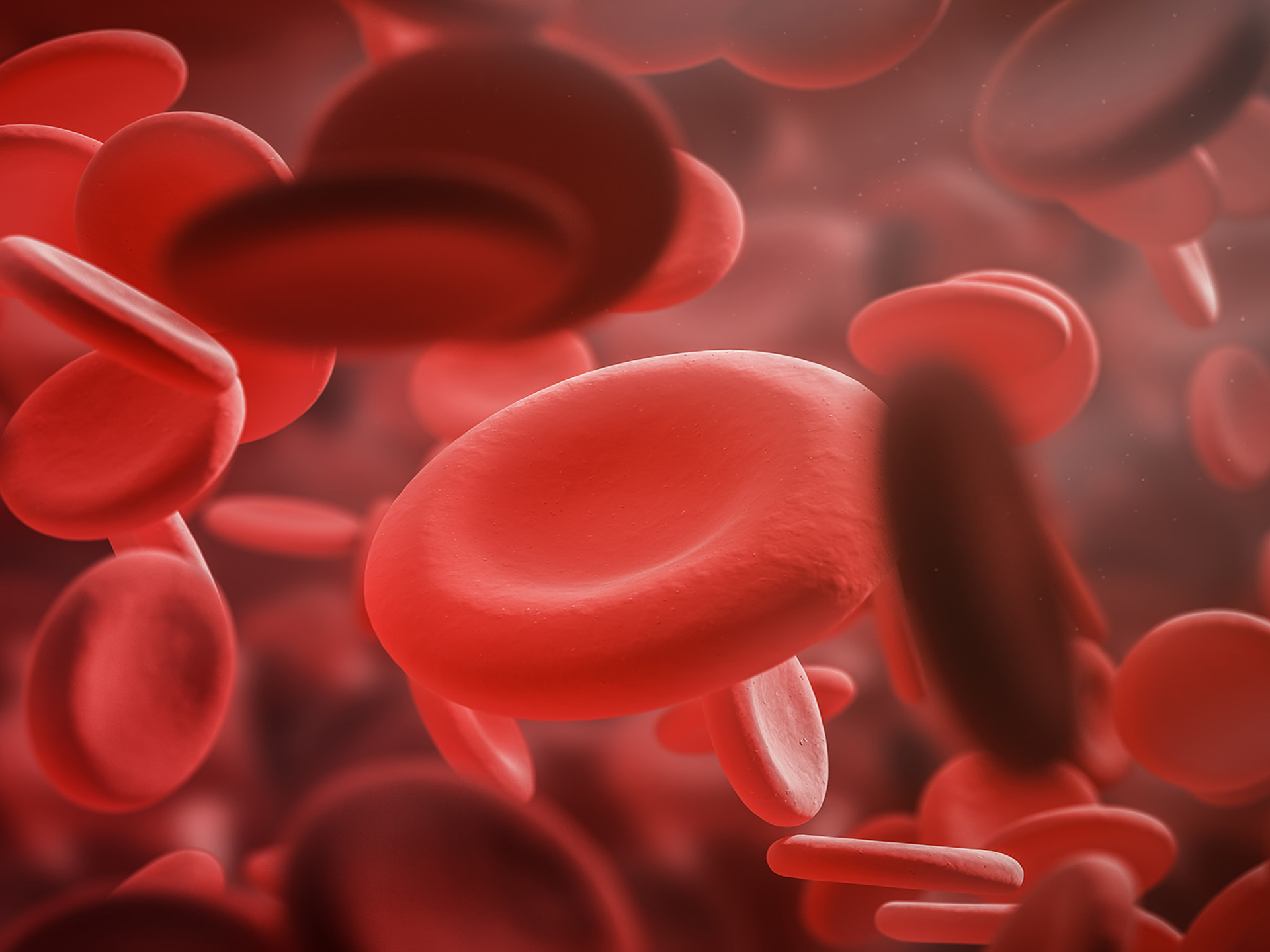 Red blood cells