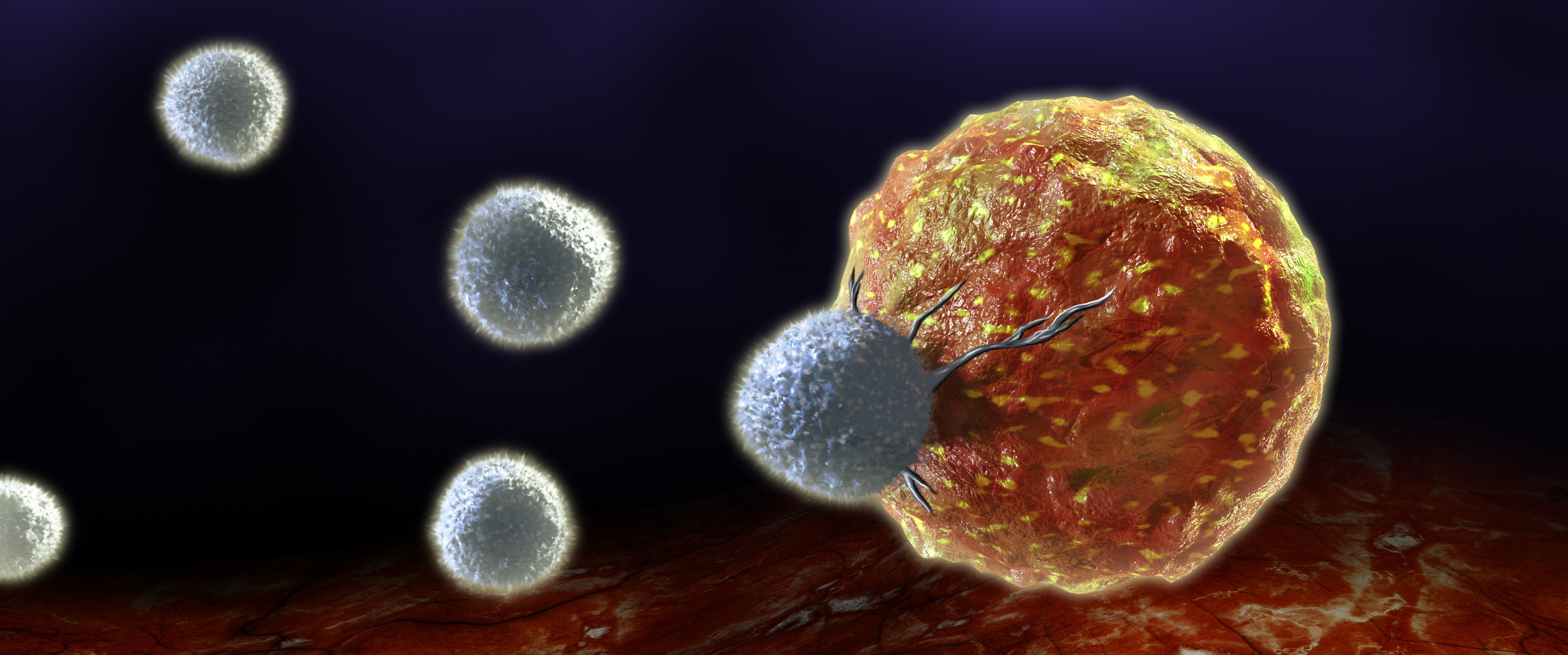 An illustration of T cells attacking a cancer cell