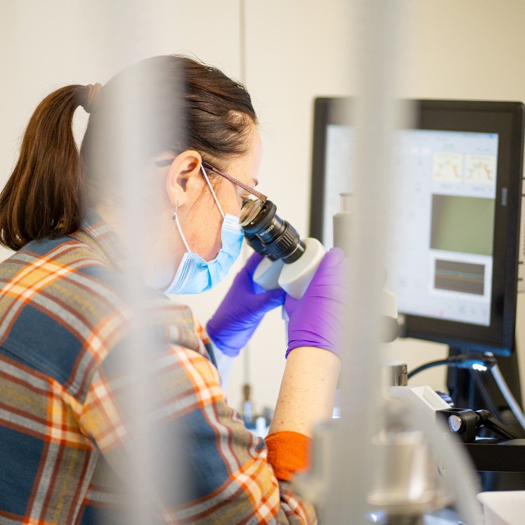 Katya Tarasovetc looks through a microscope