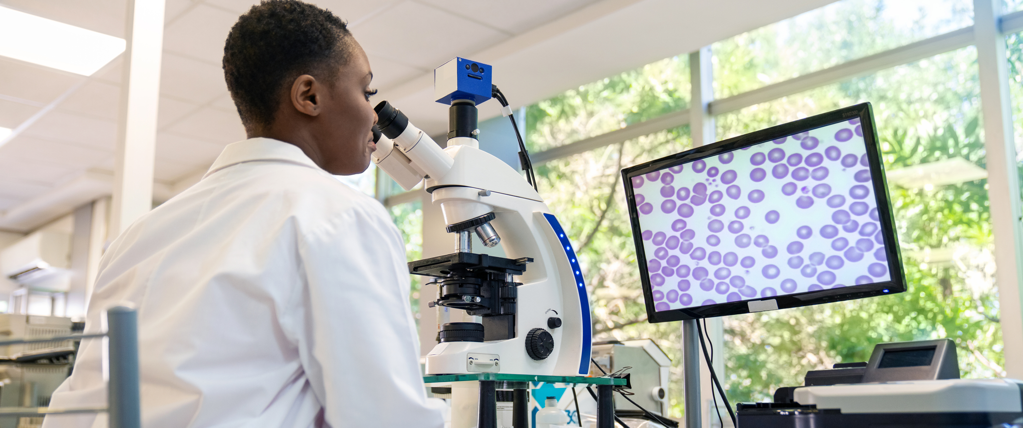Researcher in lab coat looking at cells through microscope while image is displayed on monitor