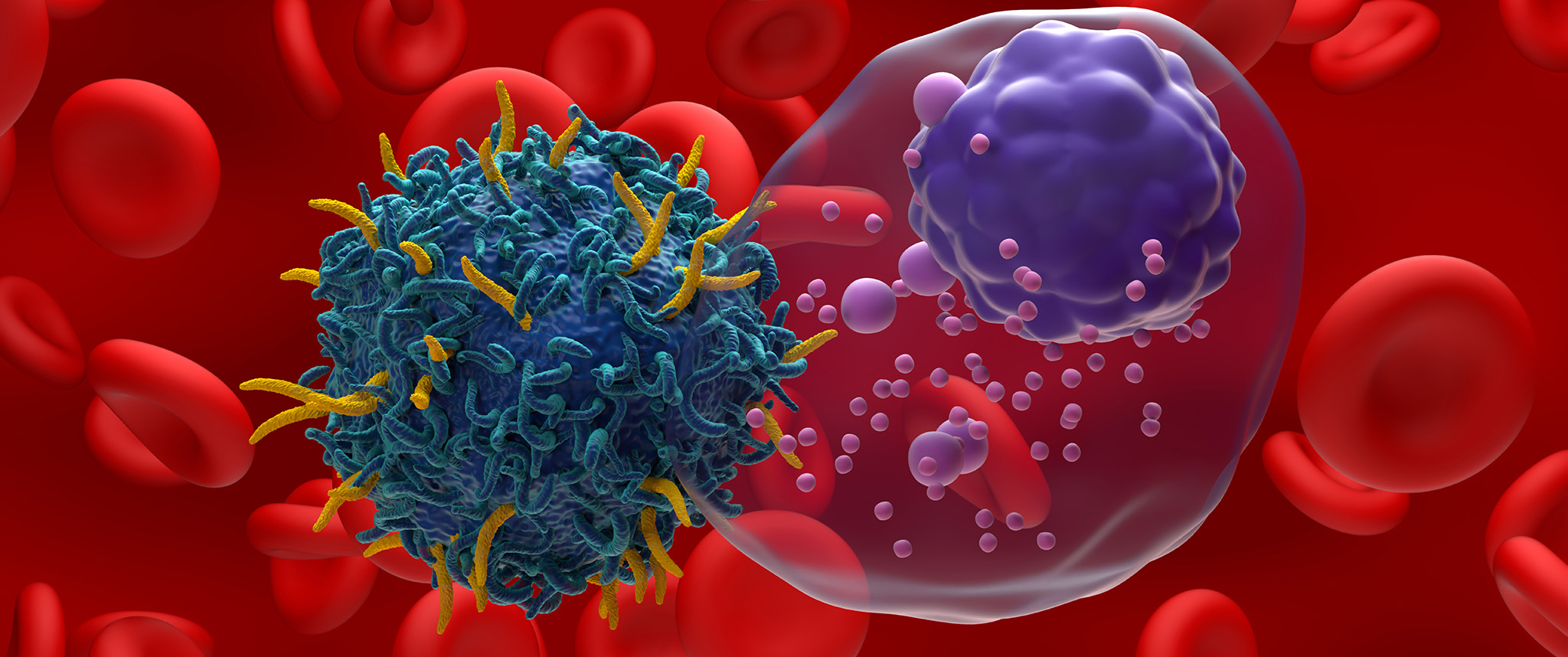 A close-up three-dimensional image shows a CAR T cell attacking a malignant myeloma plasma cell.