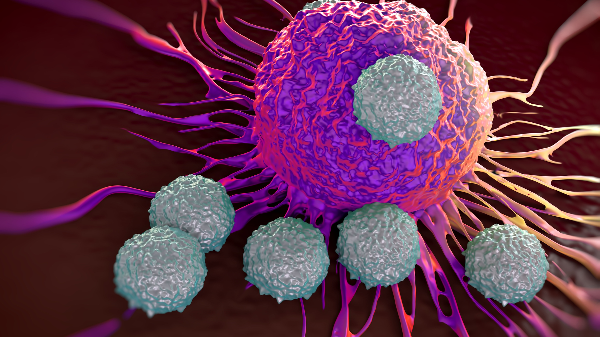 An illustration of a microscopic image of CAR T cells attacking a cancer cell