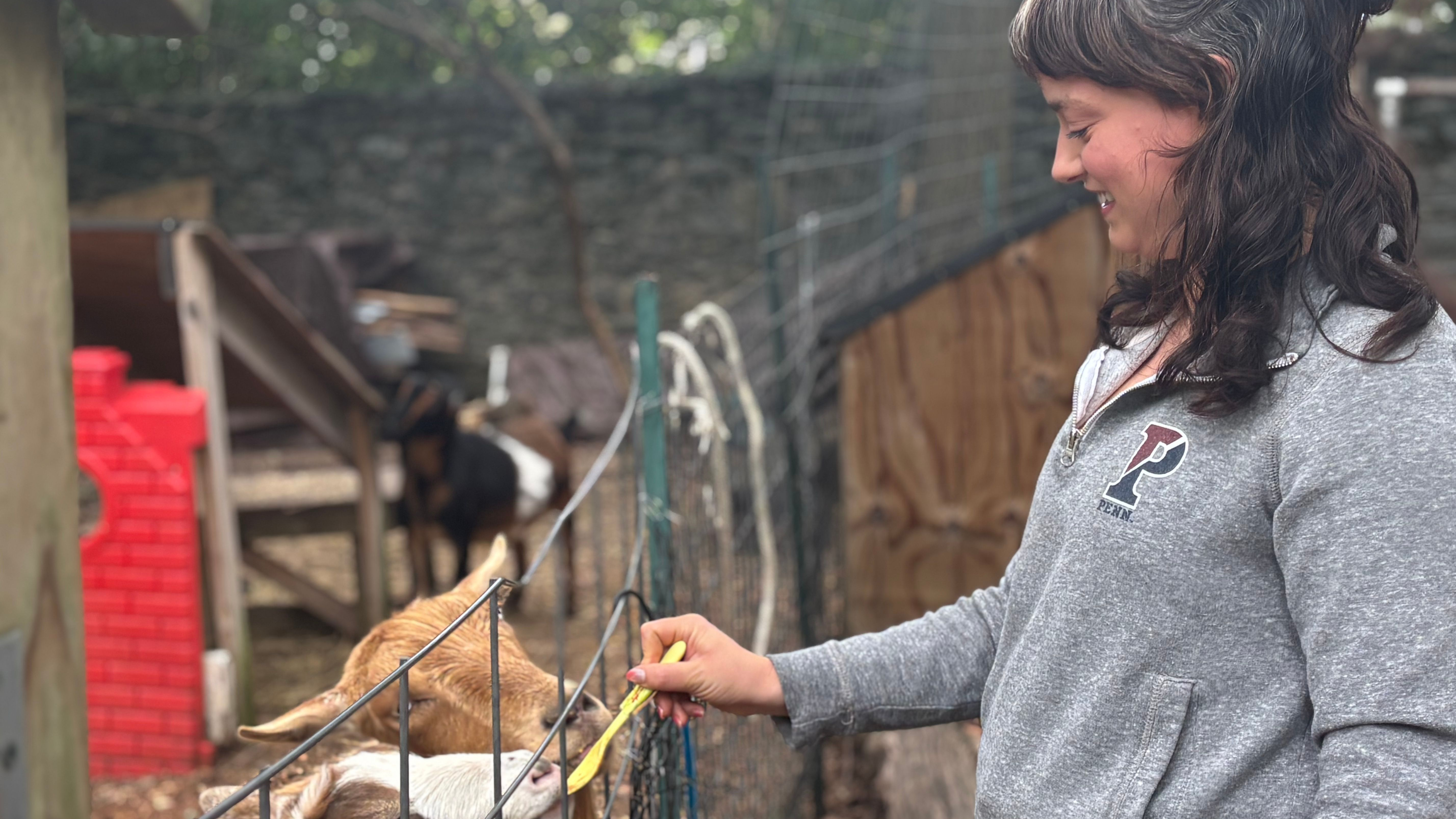 Woman administering medication to goats