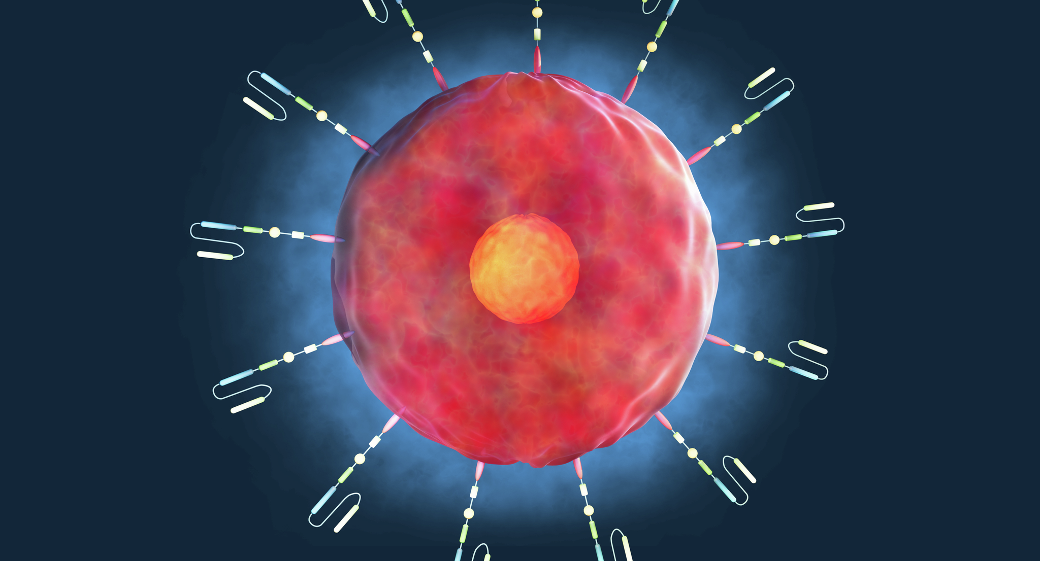 A digital illustration of CAR T cells