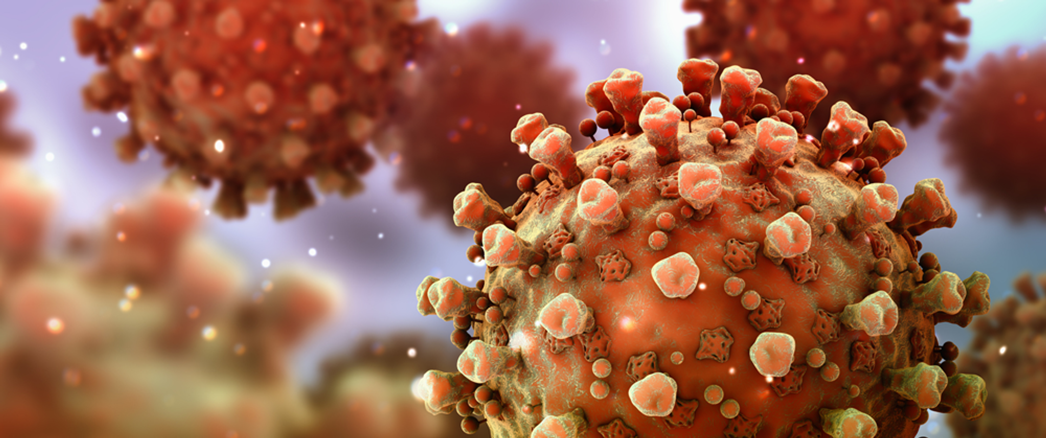 An illustration of a microscopic image of a coronavirus