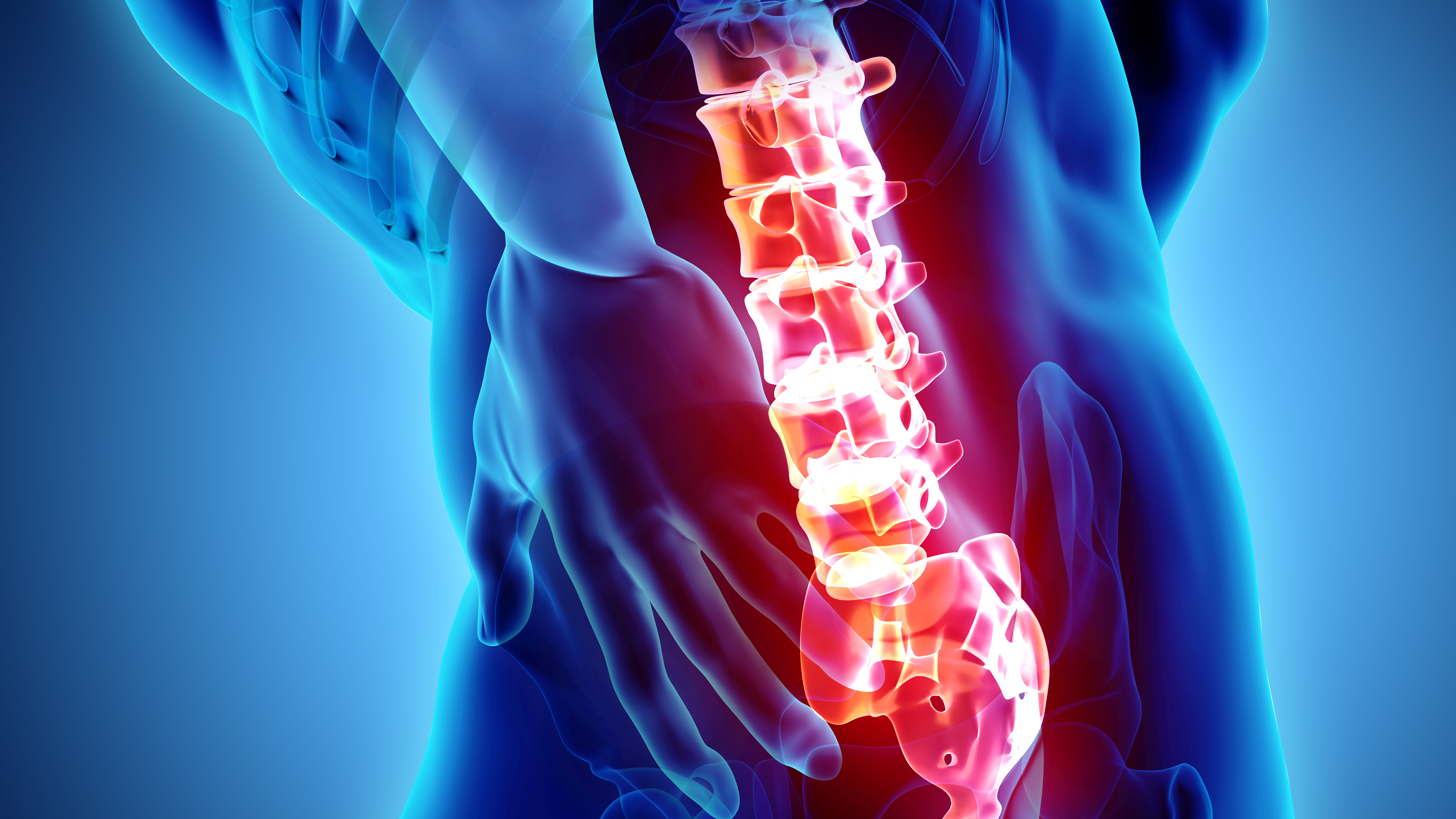 3D Illustration of sacral spine painful, medical concept