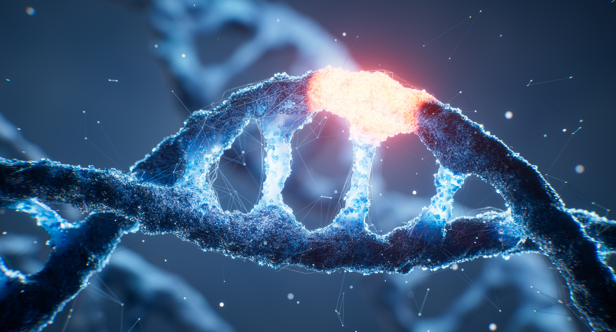 A section of DNA highlighted