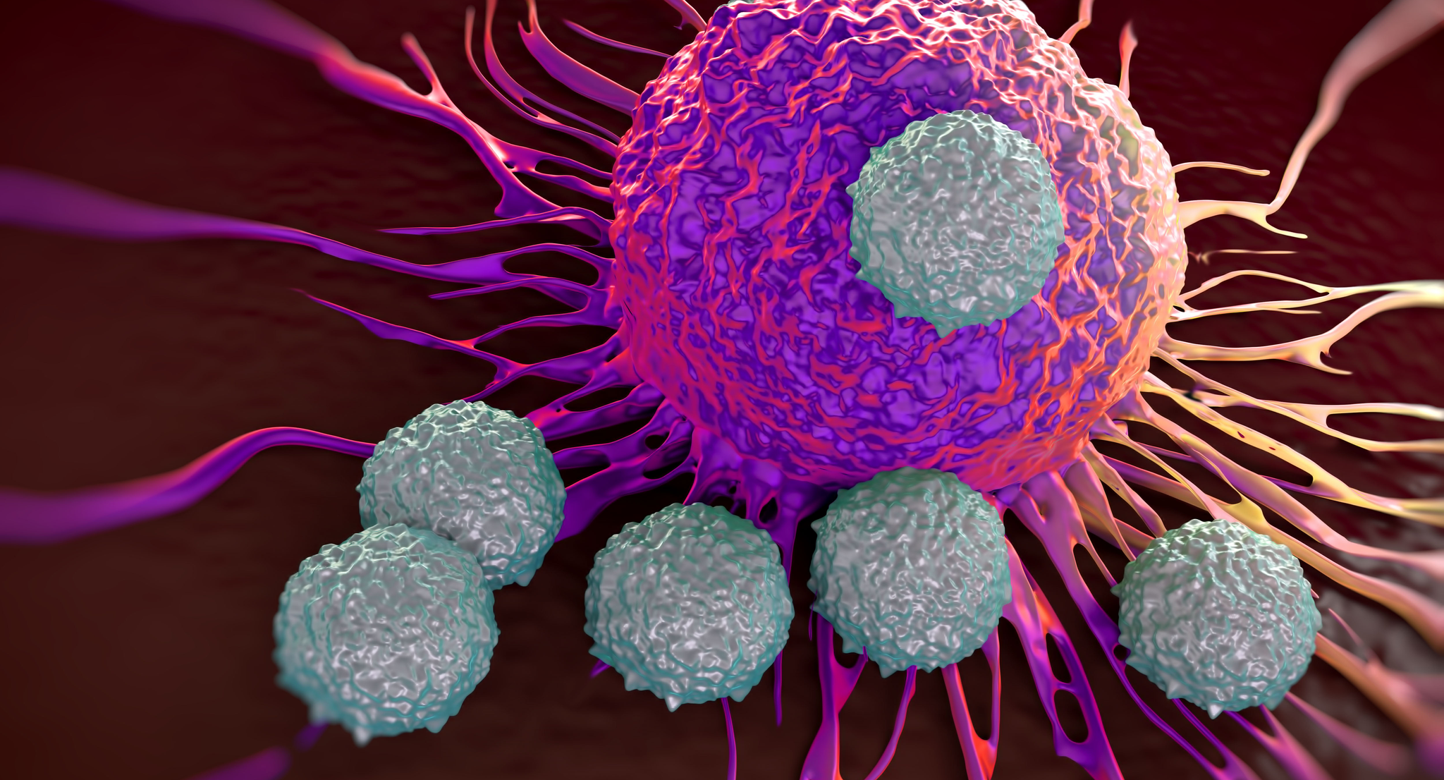 An illustration of a microscopic image of CAR T cells attacking a cancer cell.
