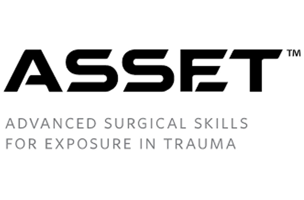 Asset logo