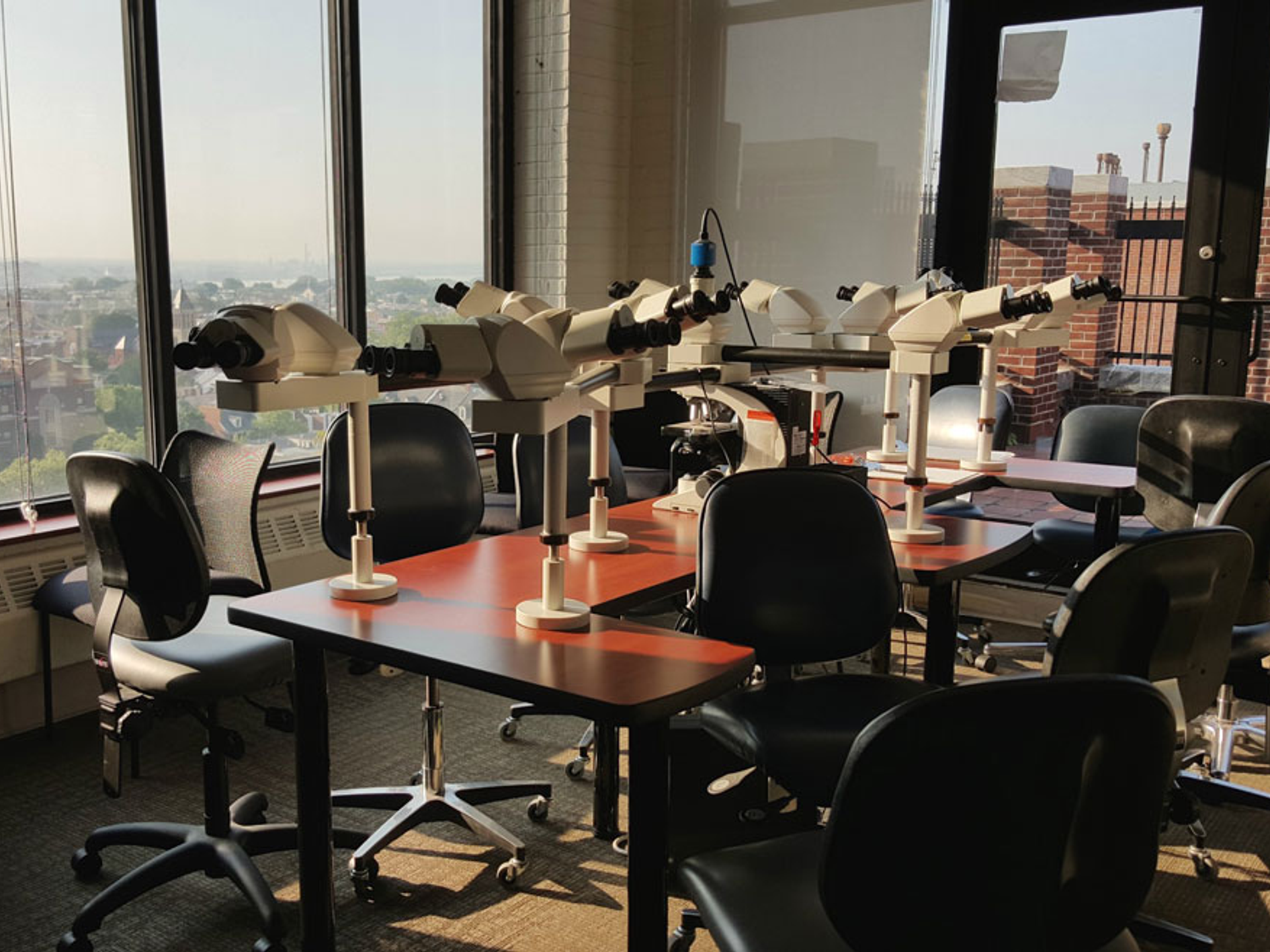 Microscope room