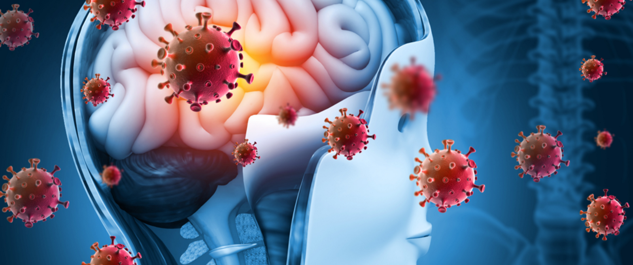 An illustration of a stylized human head shape with a brain visible inside, surrounded by floating coronaviruses