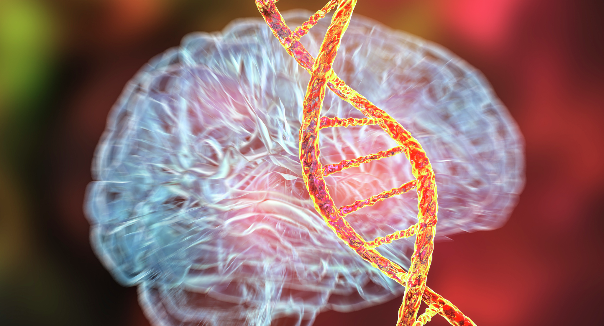 An orange DNA strand with a translucent brain in the background