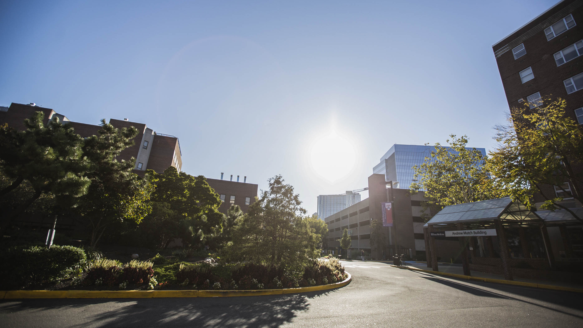 Penn Presbyterian Medical Center campus during daytime