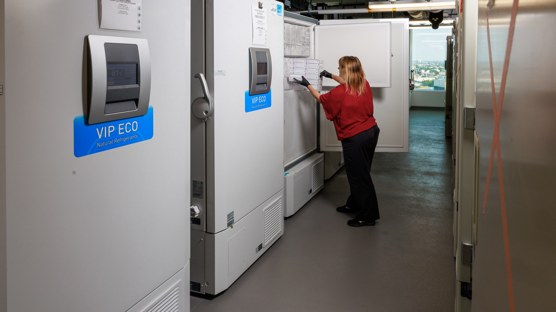 Joellen Weaver takes boxes of samples out of a freezer, one of several full-size freezers in a row at the BioBank