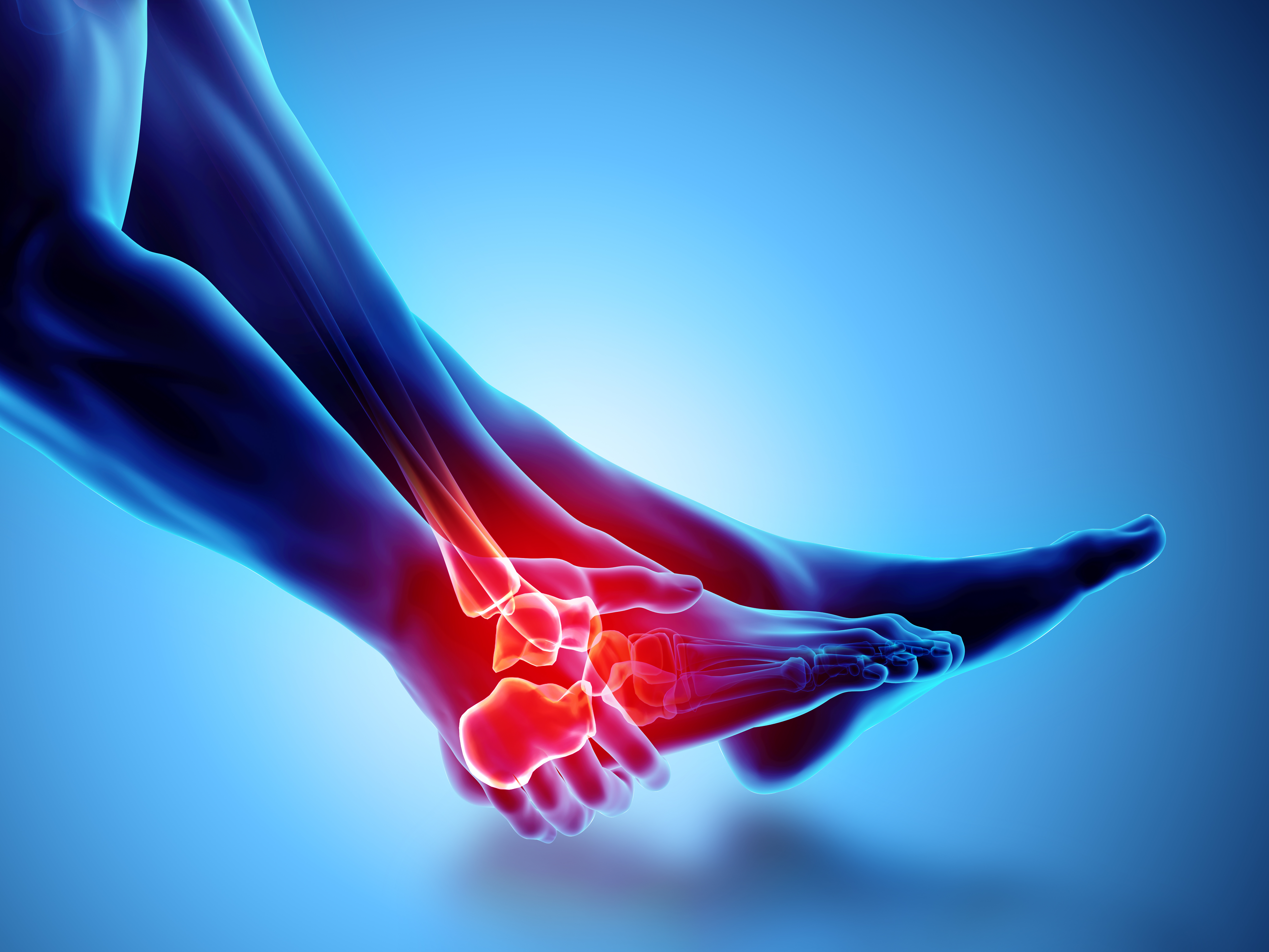 3D illustration of foot and ankle pain on skeleton xray