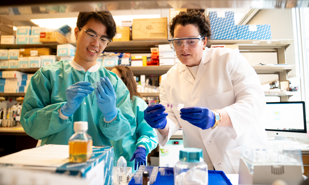 Two researchers in a lab look at glass slides