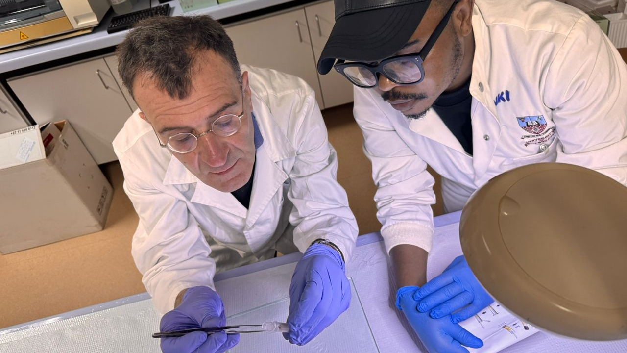Two people in lab coats, one watching as the other holds tweezers over a test tube