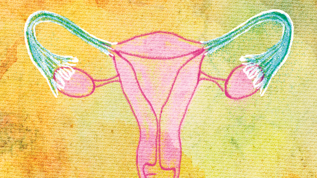 Illustration of a uterus, fallopian tubes, and ovaries