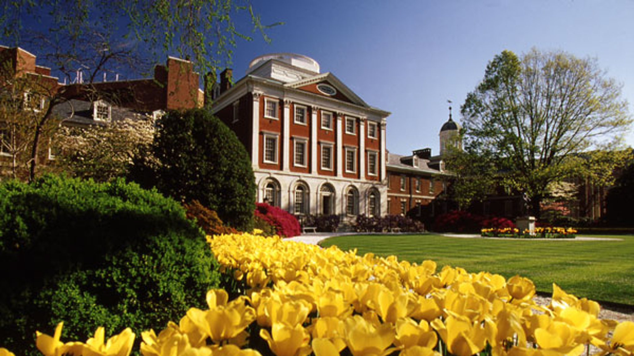 Exterior of Pennsylvania Hospital with yellow tulips in a garden